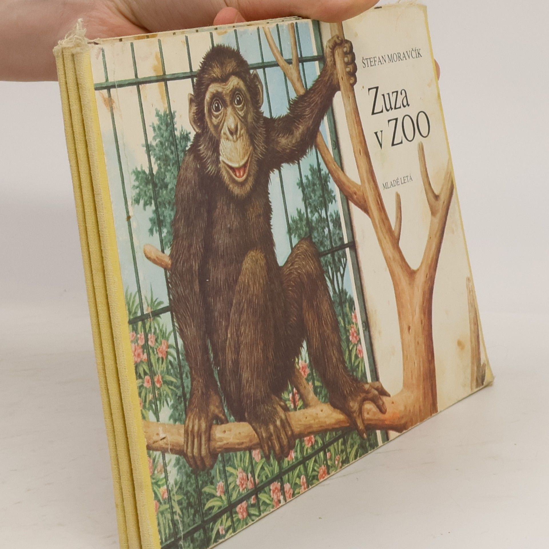 Štefan Moravčík Zuza v ZOO