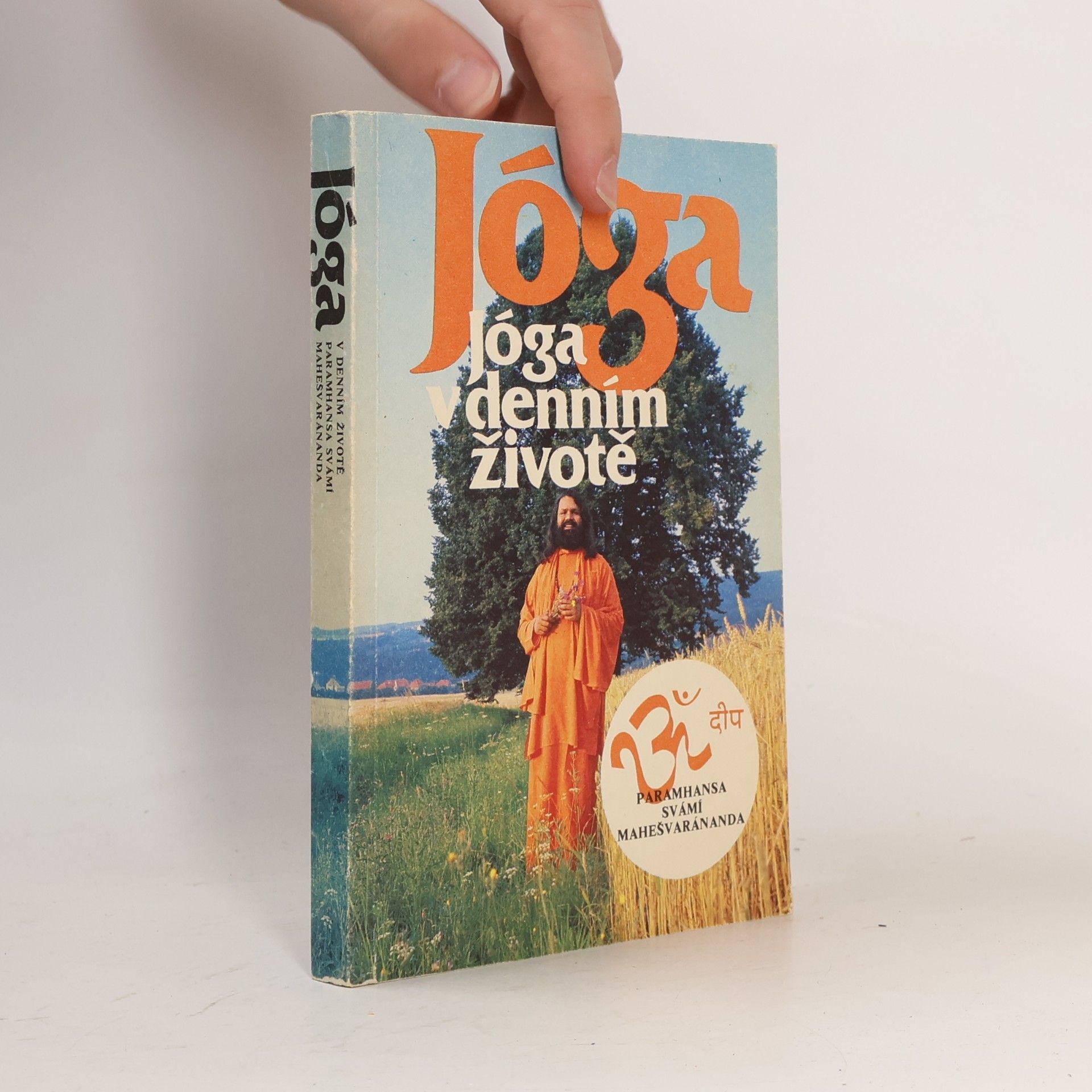 Paramhans Swami Maheshwarananda Jóga v denním životě