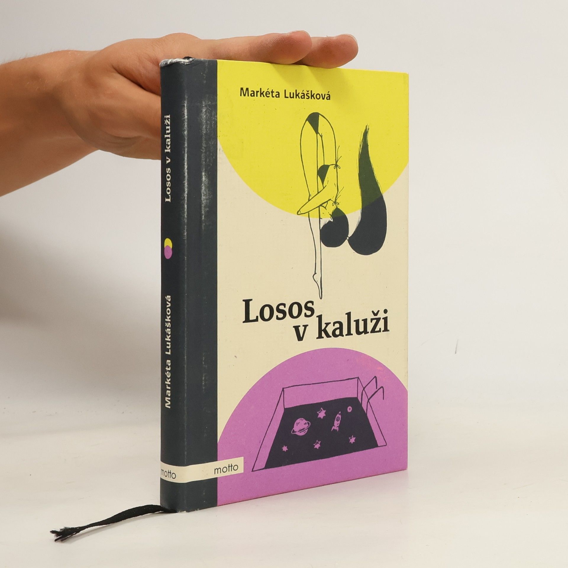 Markéta Lukášková Losos v kaluži