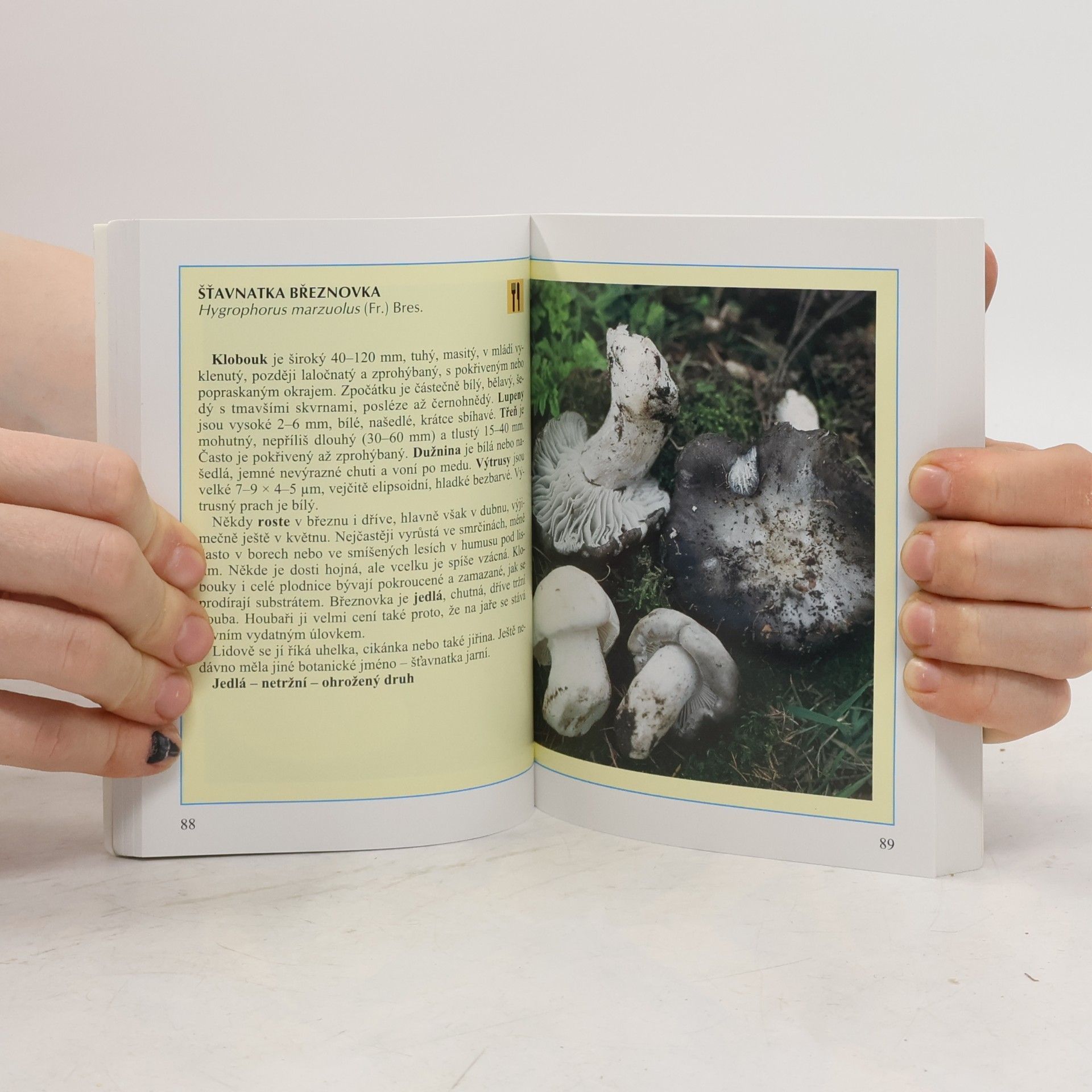 Miroslav Smotlacha Kapesní atlas hub