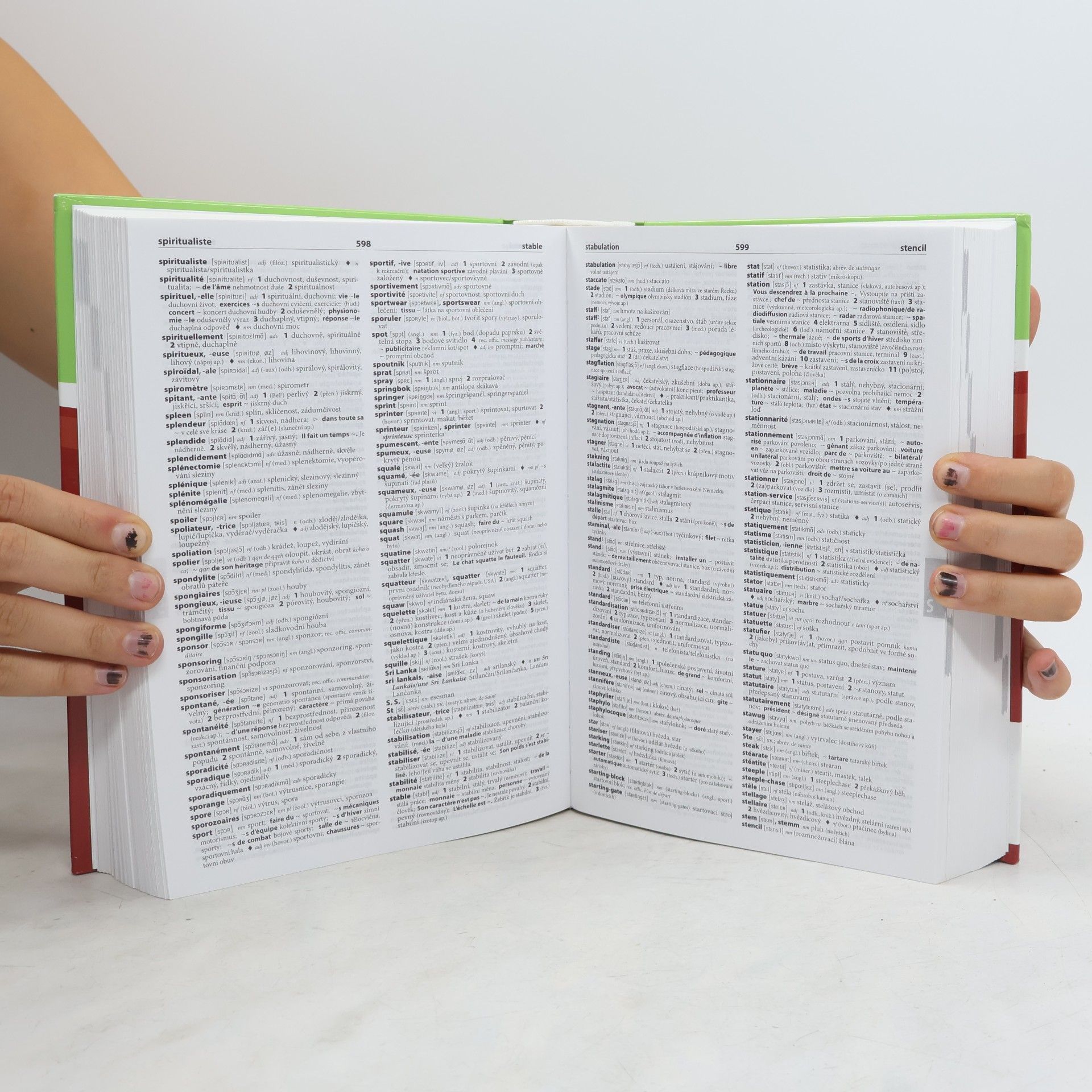 Autorenkollektiv Francouzsko-český česko-francouzský velký slovník