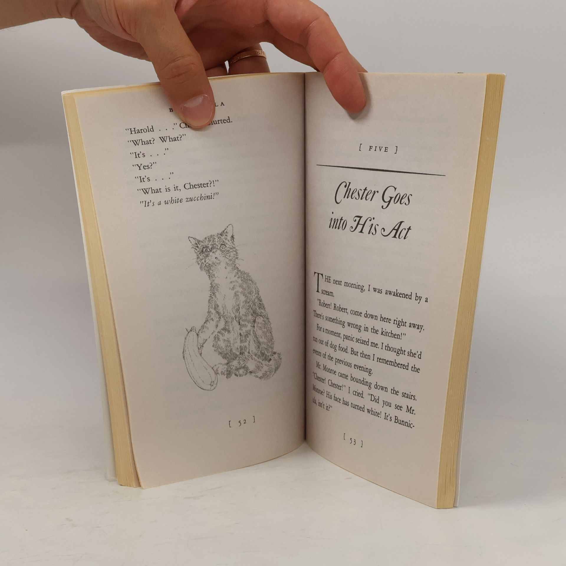 Deborah Howe Bunnicula