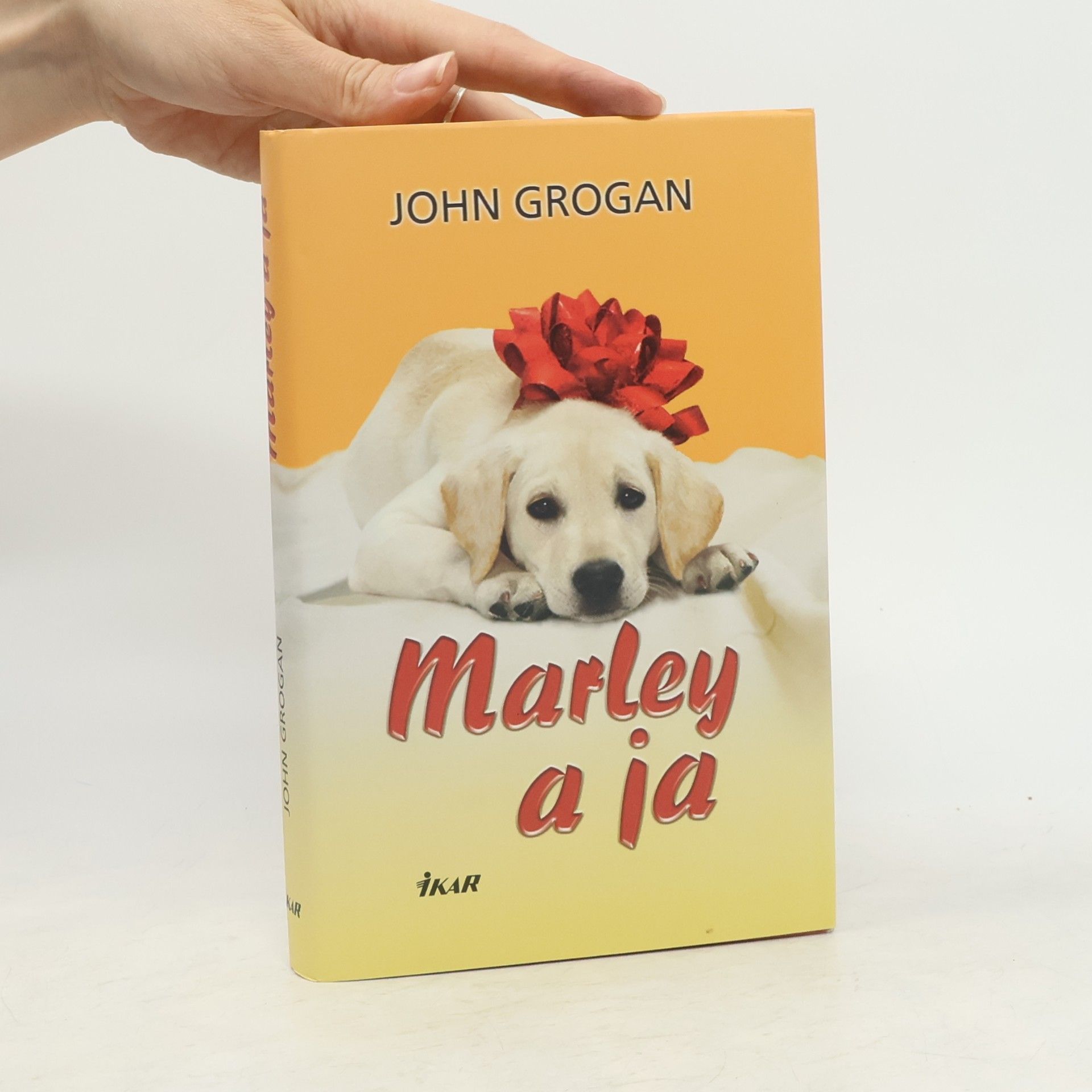 John Grogan Marley a ja