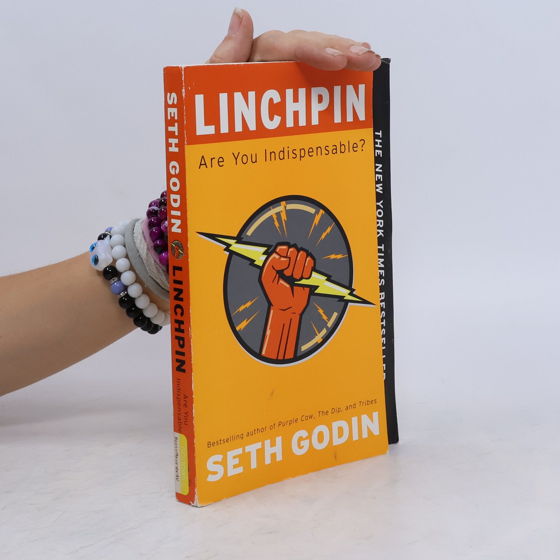 Seth Godin Linchpin: Are You Indispensable?