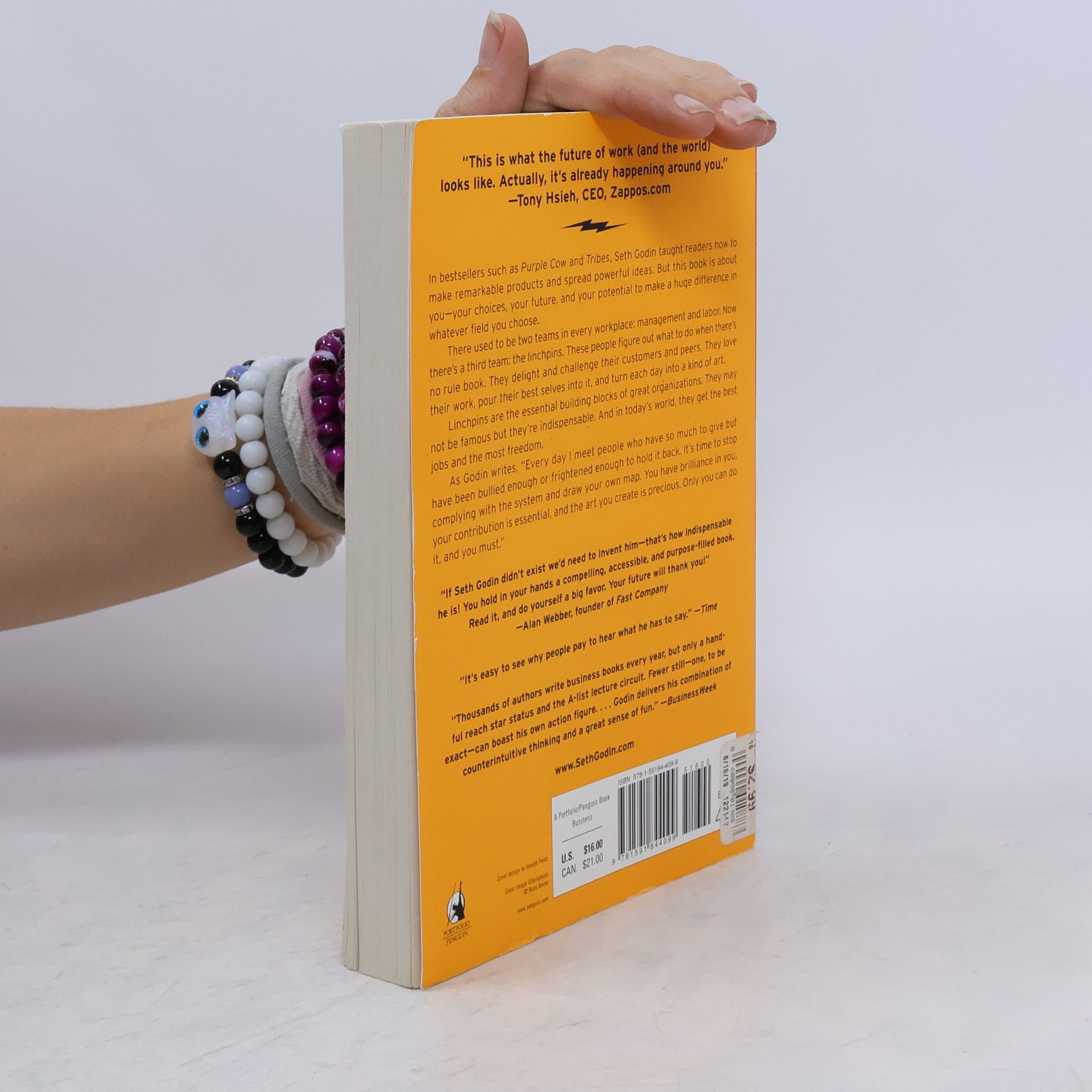 Seth Godin Linchpin: Are You Indispensable?