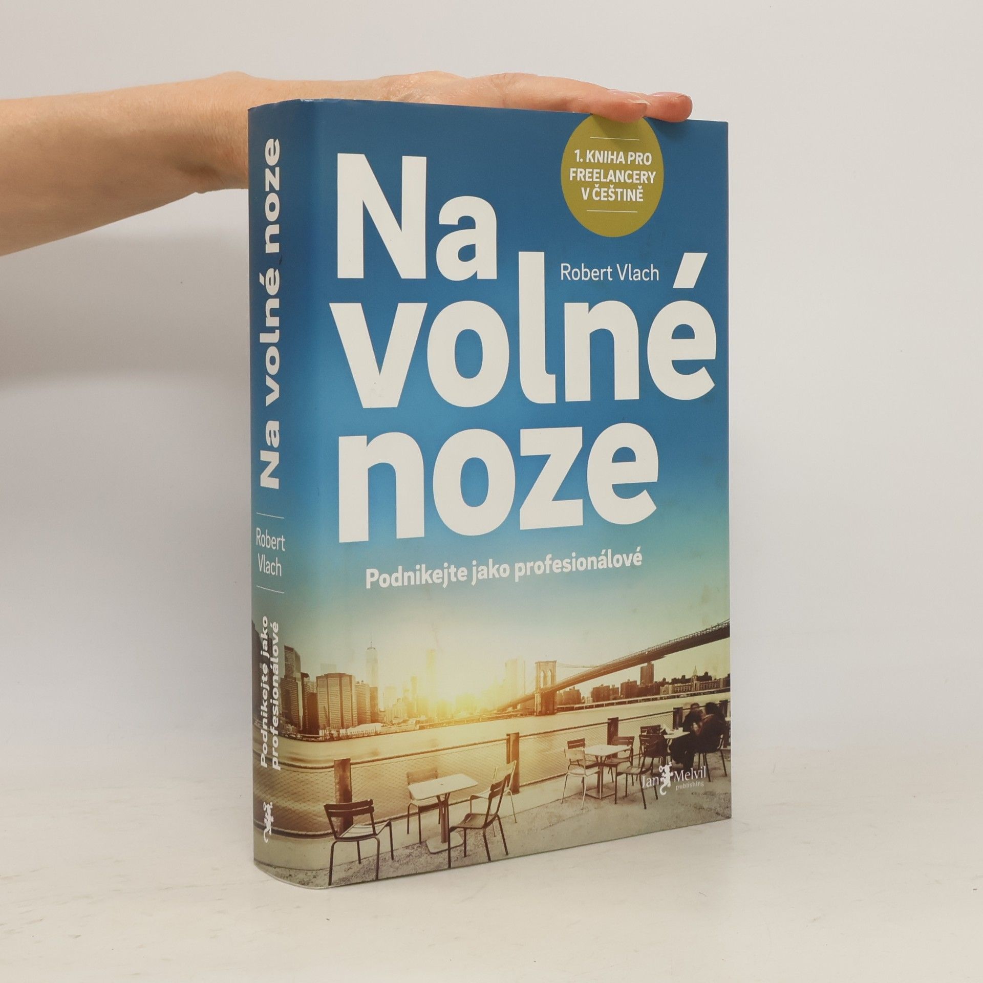 Robert Vlach (podnikatel) Na volné noze
