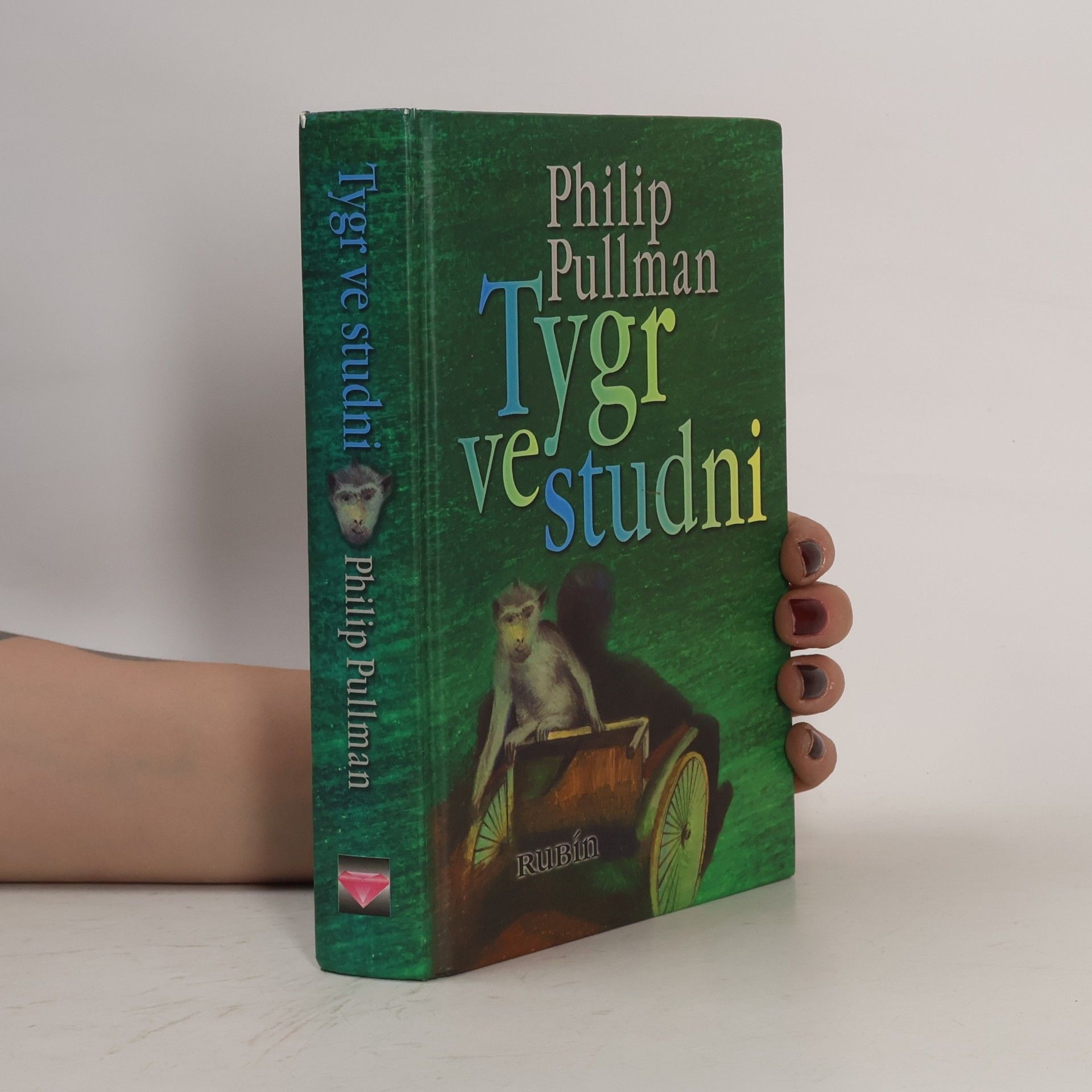 Philip Pullman Tygr ve studni
