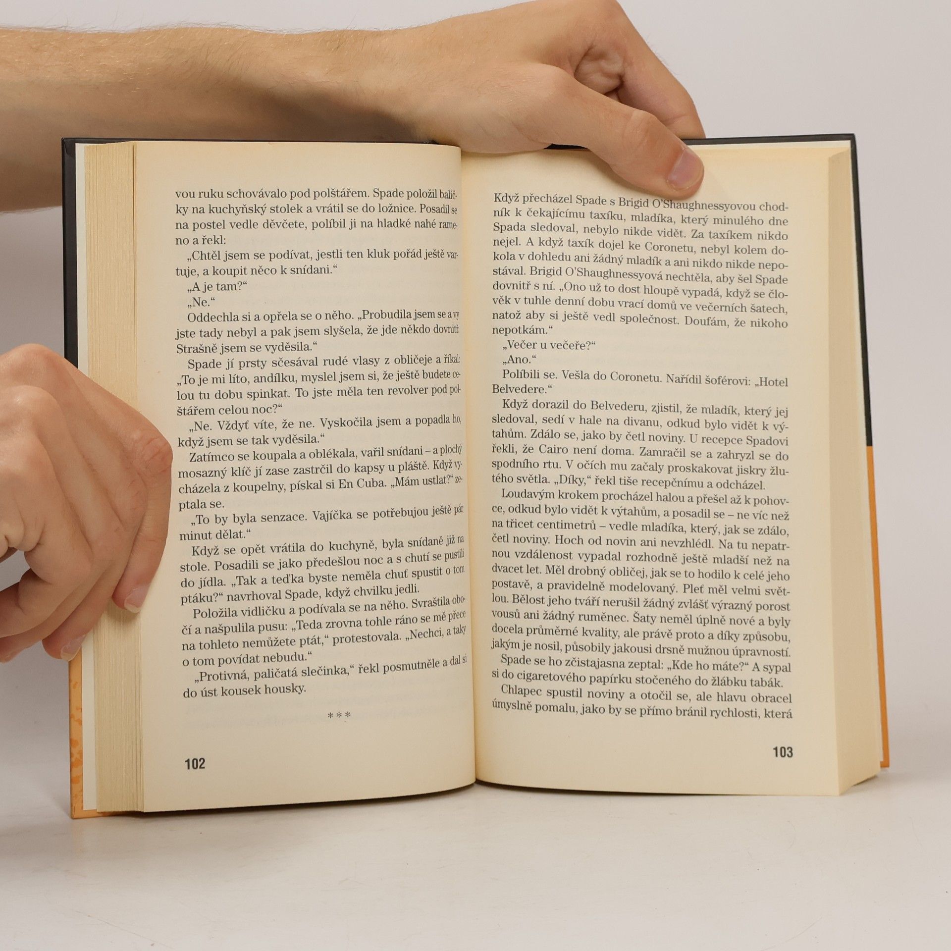 Dashiell Hammett Maltézský sokol