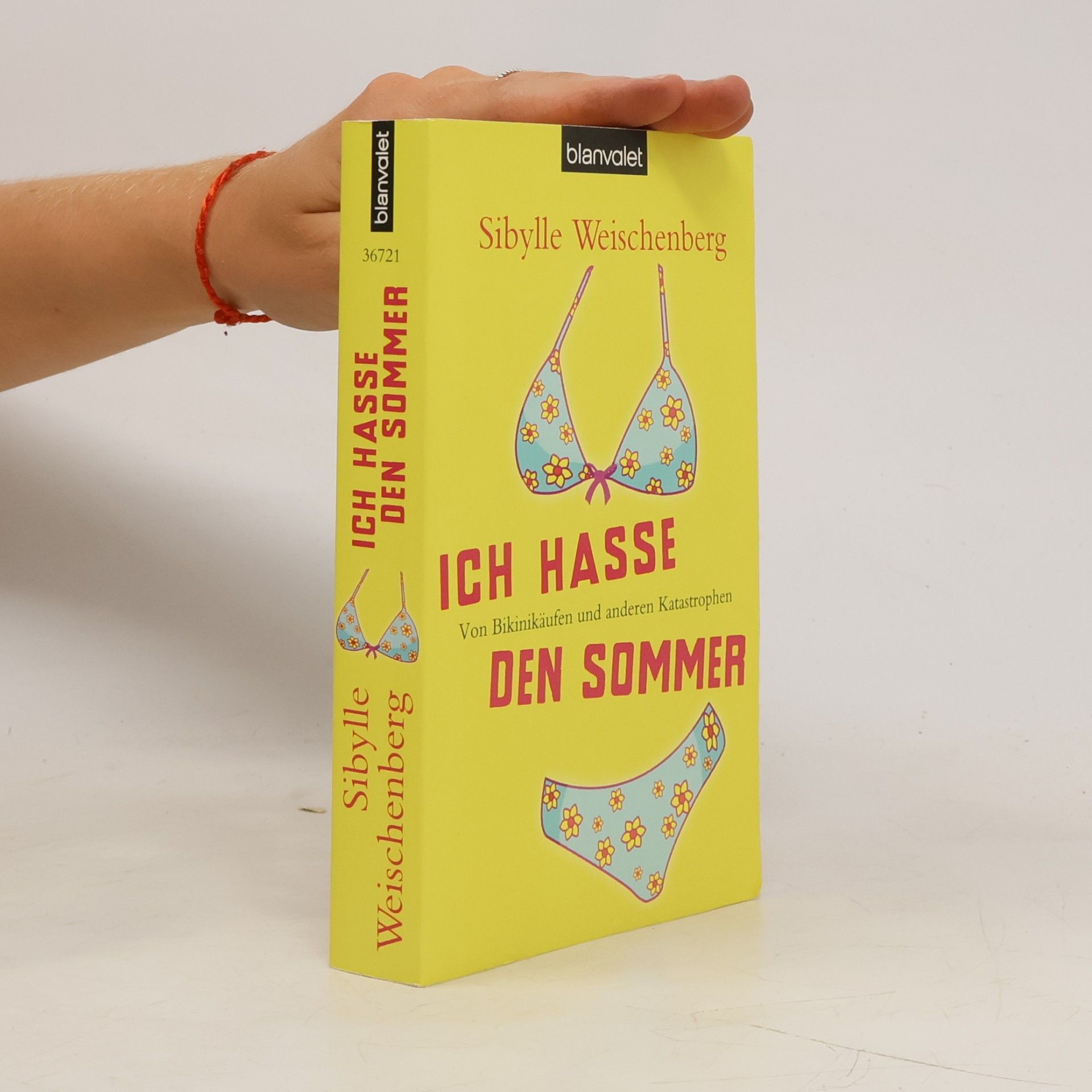 Sibylle Weischenberg Ich hasse den Sommer