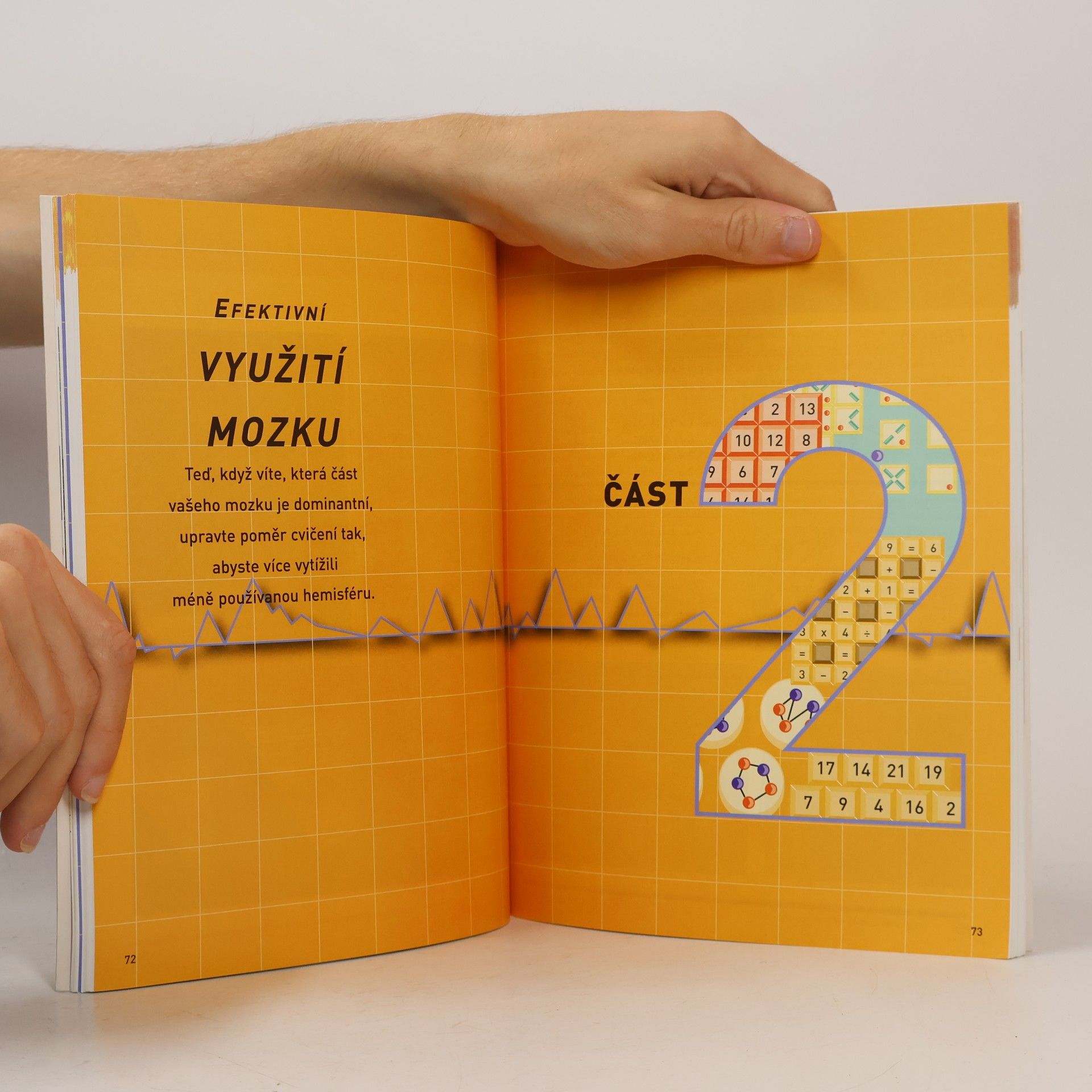 Philip J. Carter Efektivní využití mozku