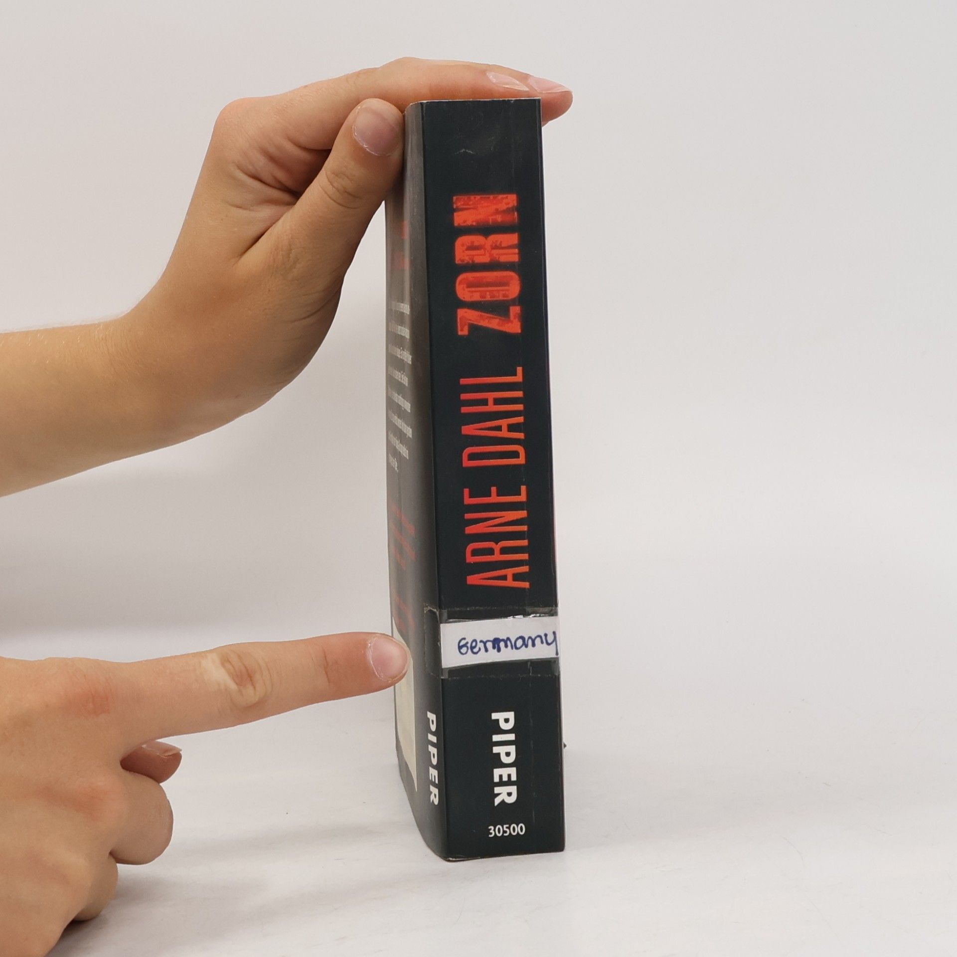 Arne Dahl Zorn: thriller