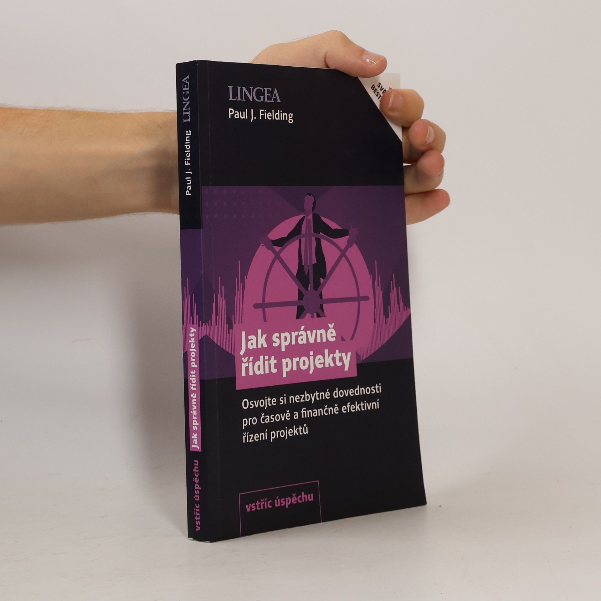 Paul J. Fielding Jak správně řídit projekty