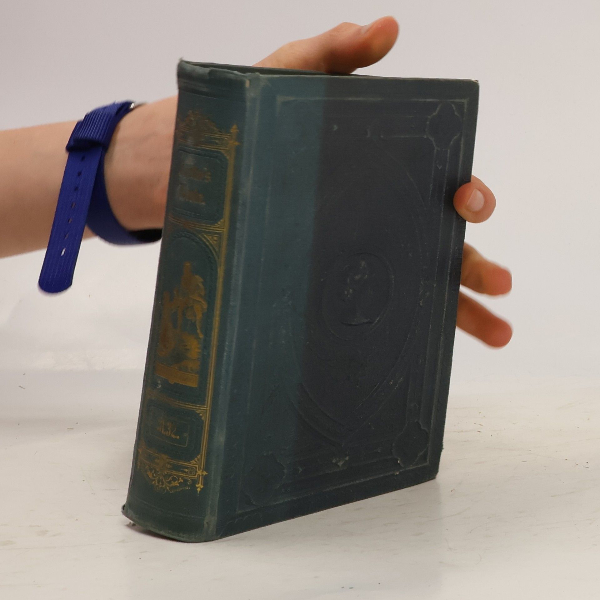 Johann Wolfgang von Goethe Goethes Werke 31