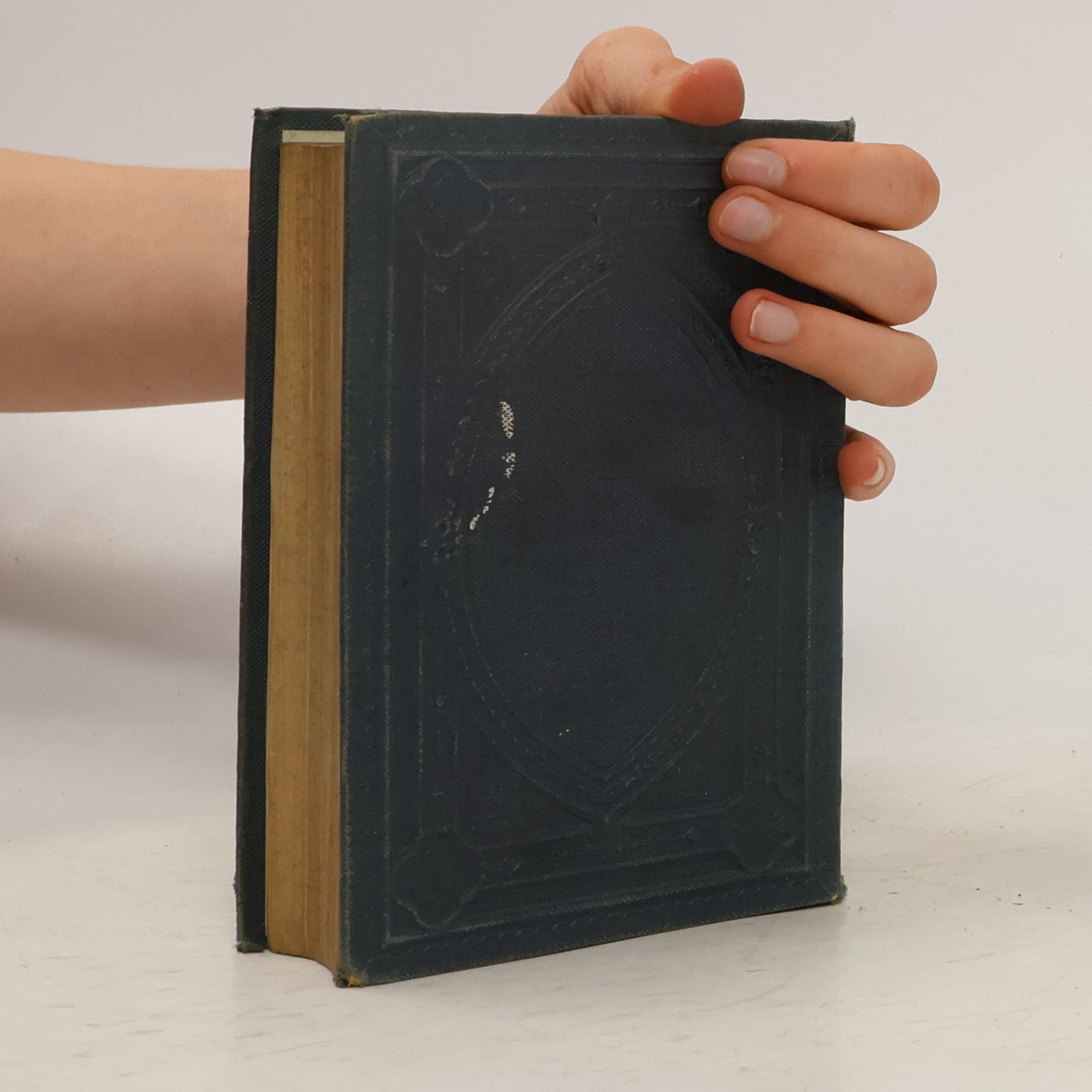 Johann Wolfgang von Goethe Goethes Werke 31
