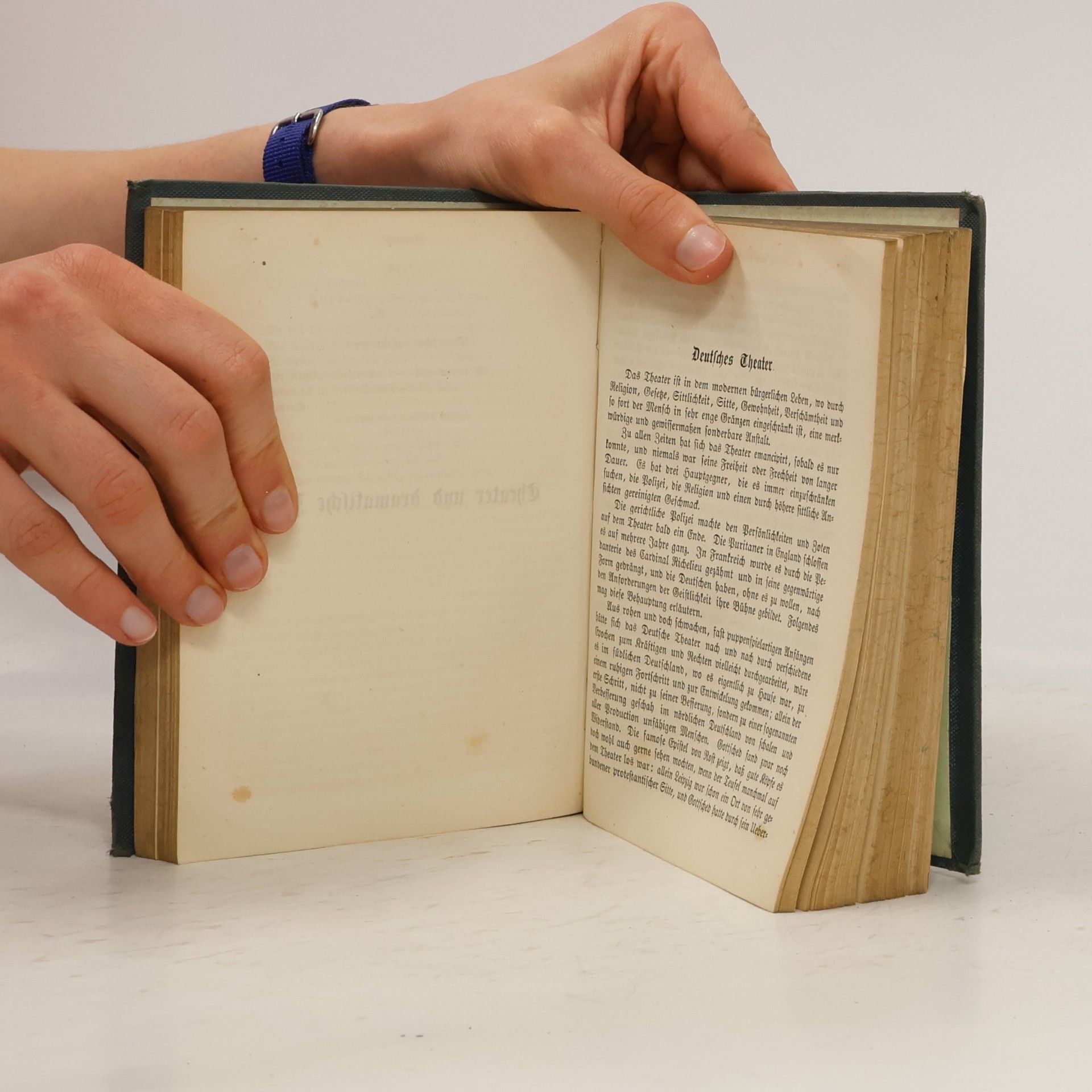 Johann Wolfgang von Goethe Goethes Werke 31