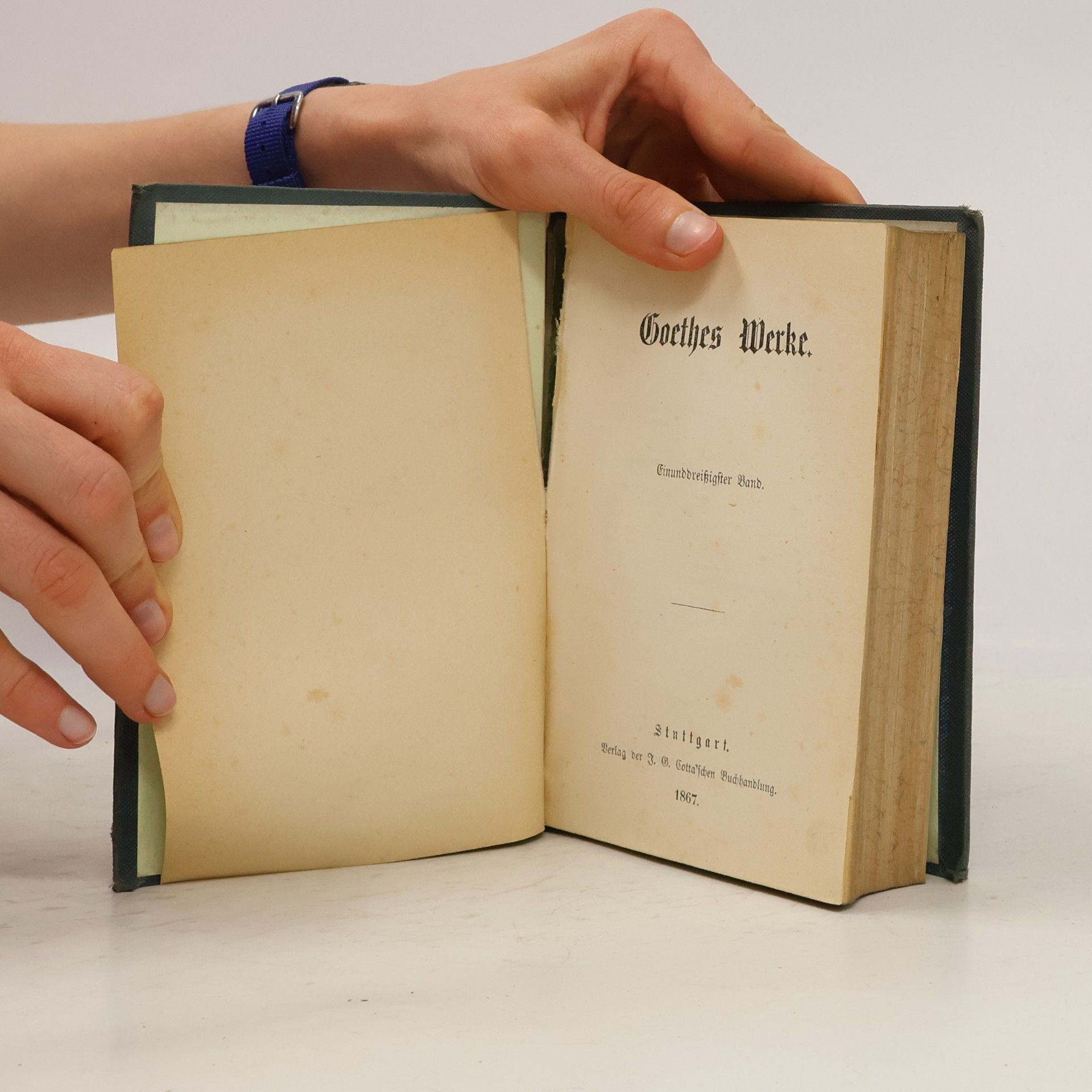 Johann Wolfgang von Goethe Goethes Werke 31
