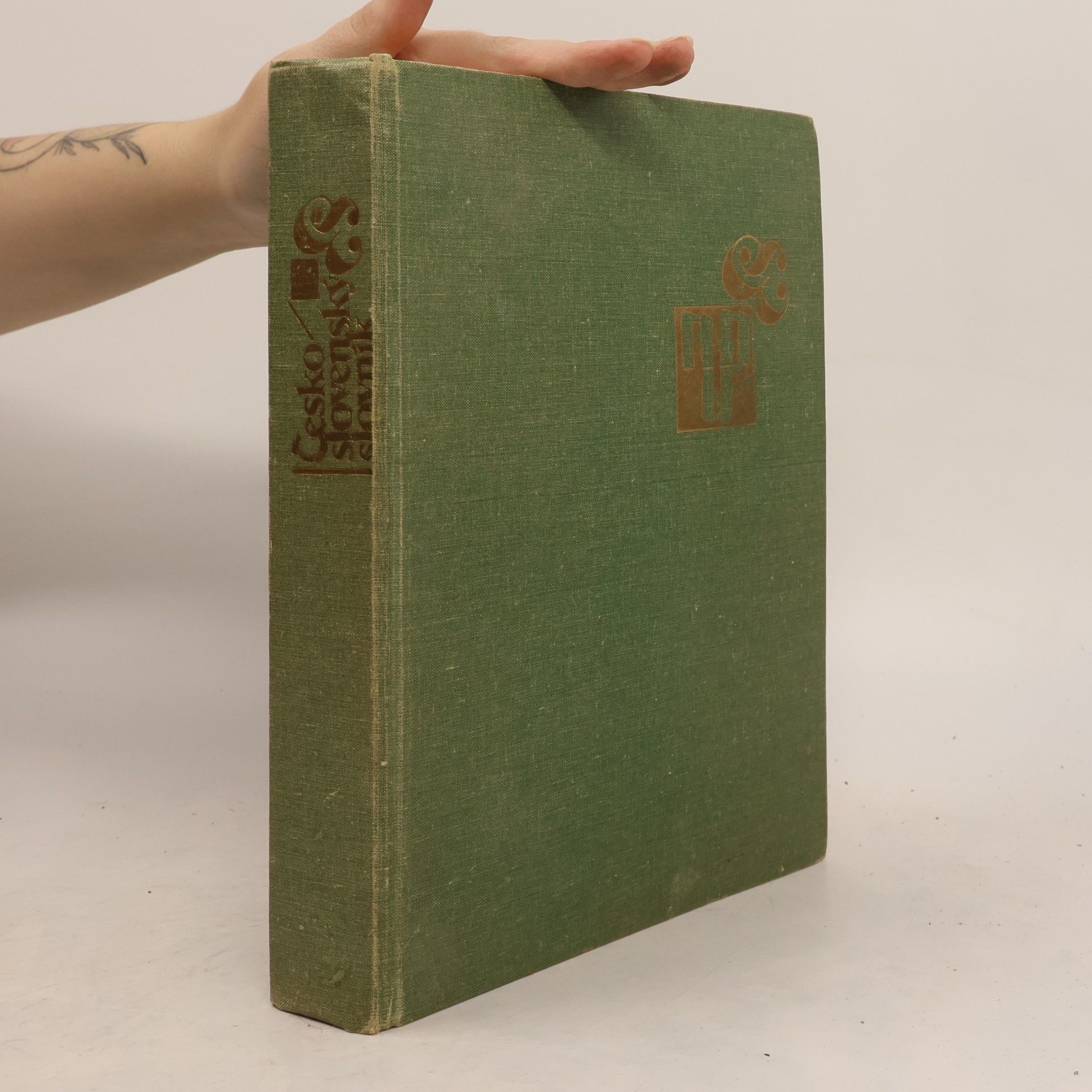 Autorenkollektiv Česko-slovenský slovník
