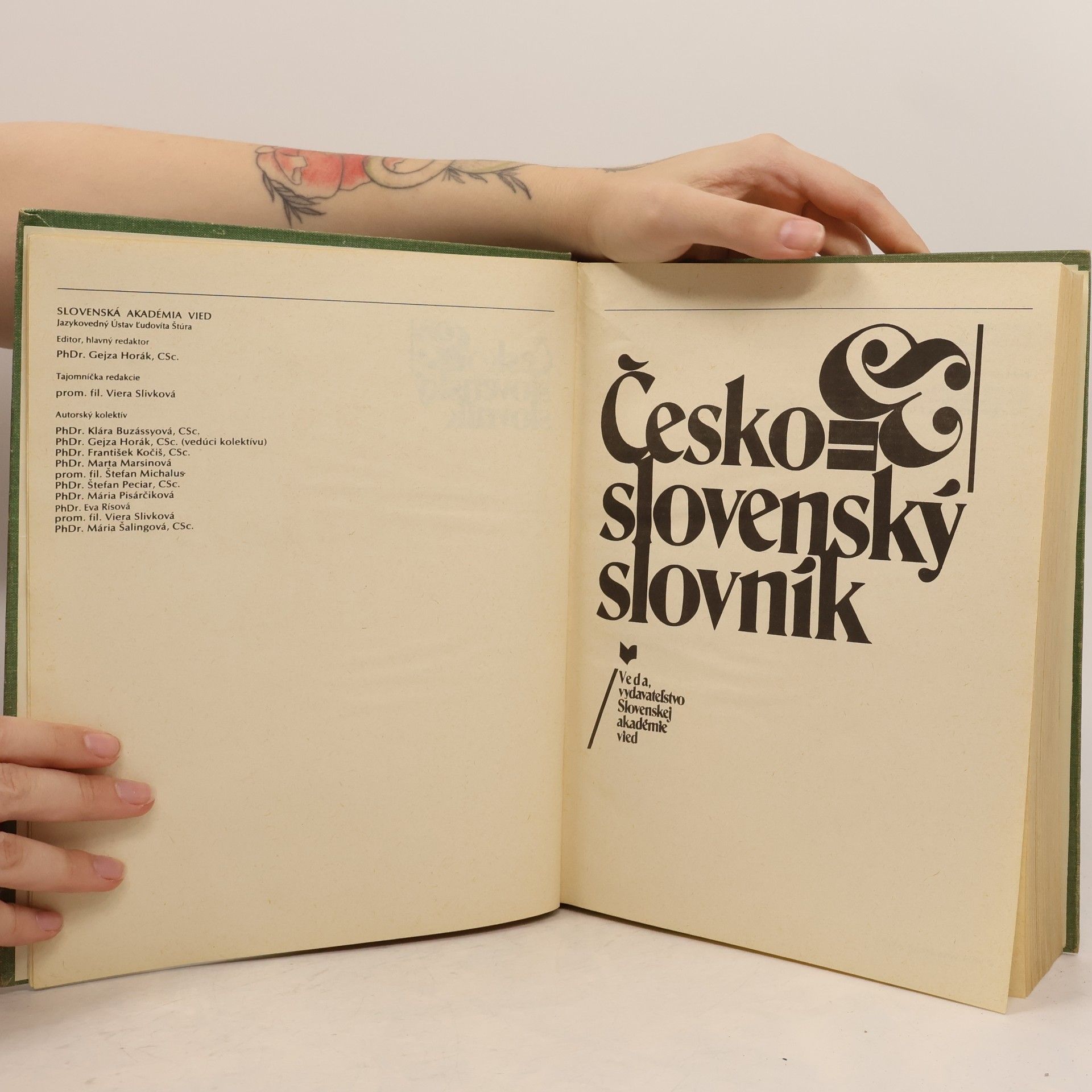 Autorenkollektiv Česko-slovenský slovník