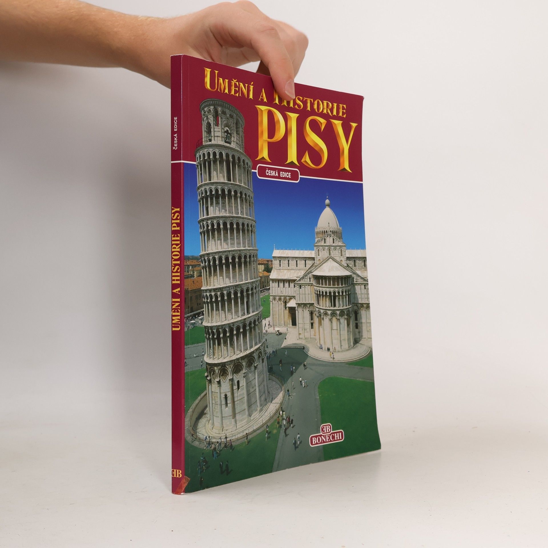 Giuliano Valdes Umění a historie Pisy