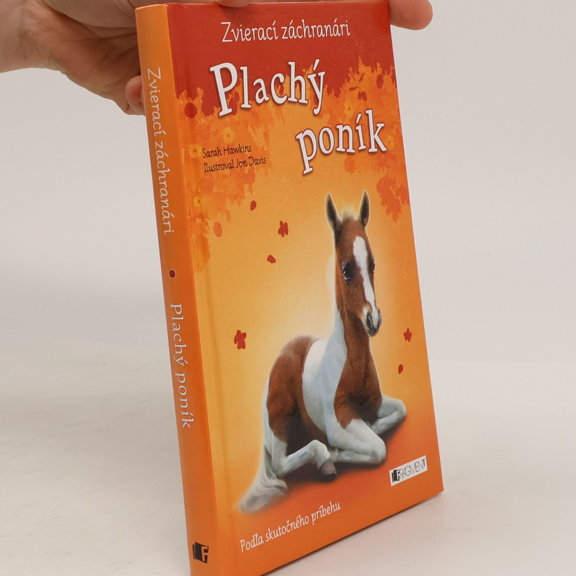Plachý poník