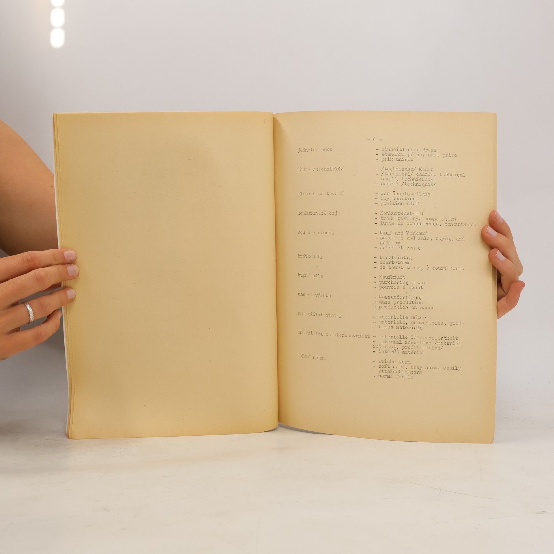Various authors Malý ekonomický slovníček v angličtině, němčině a francouzštině