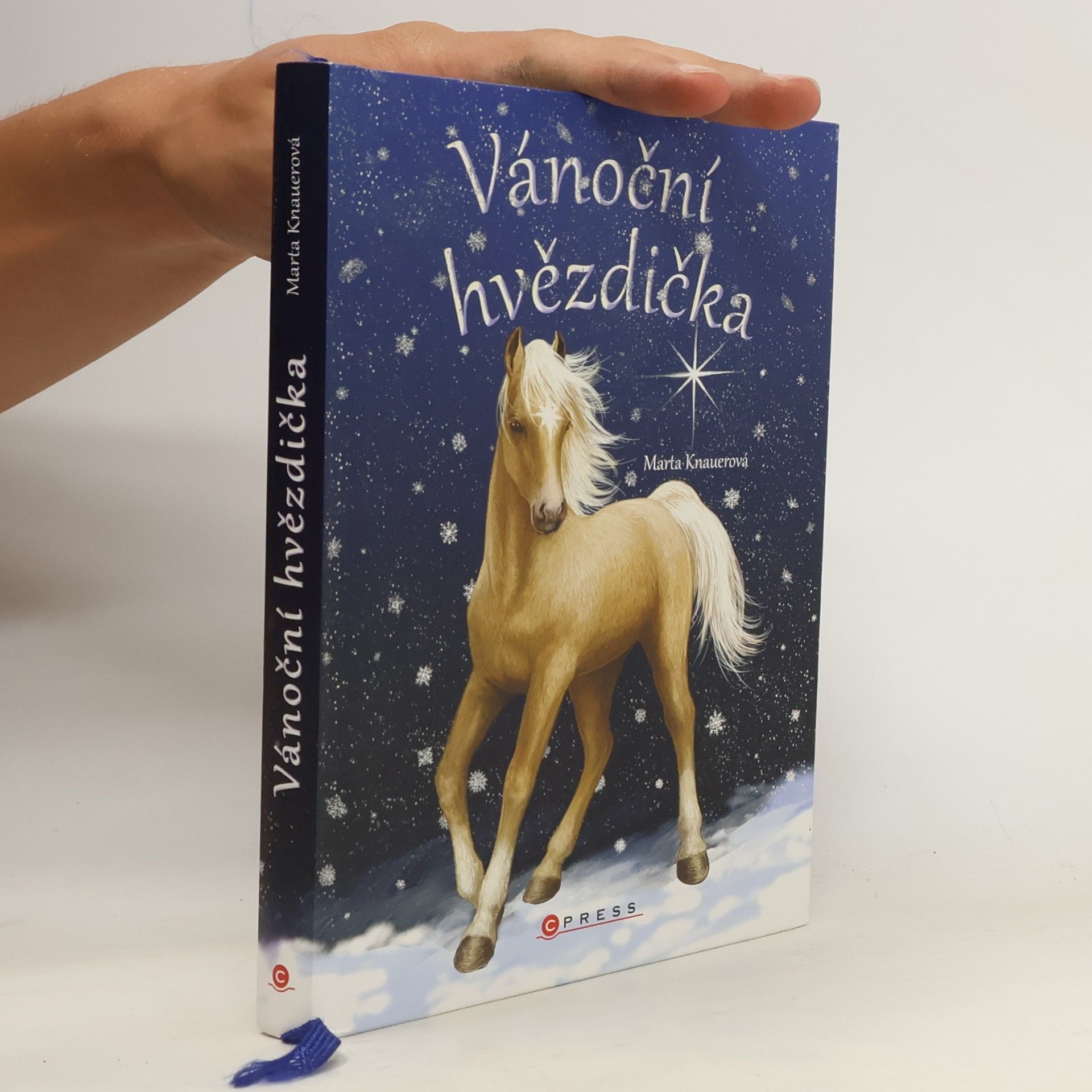 Marta Knauerová Vánoční hvězdička