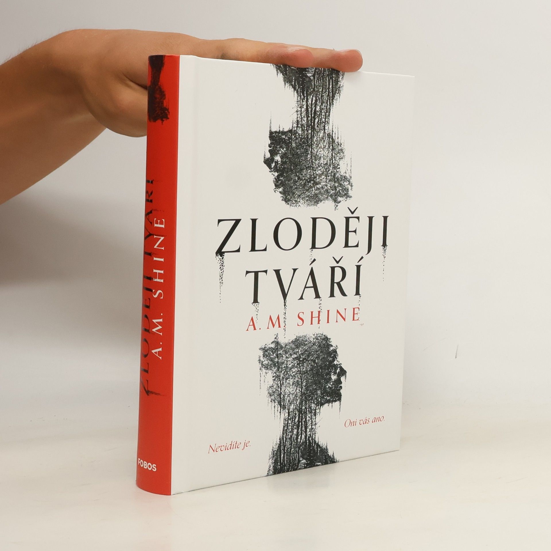 Betty Shine Zloději tváří
