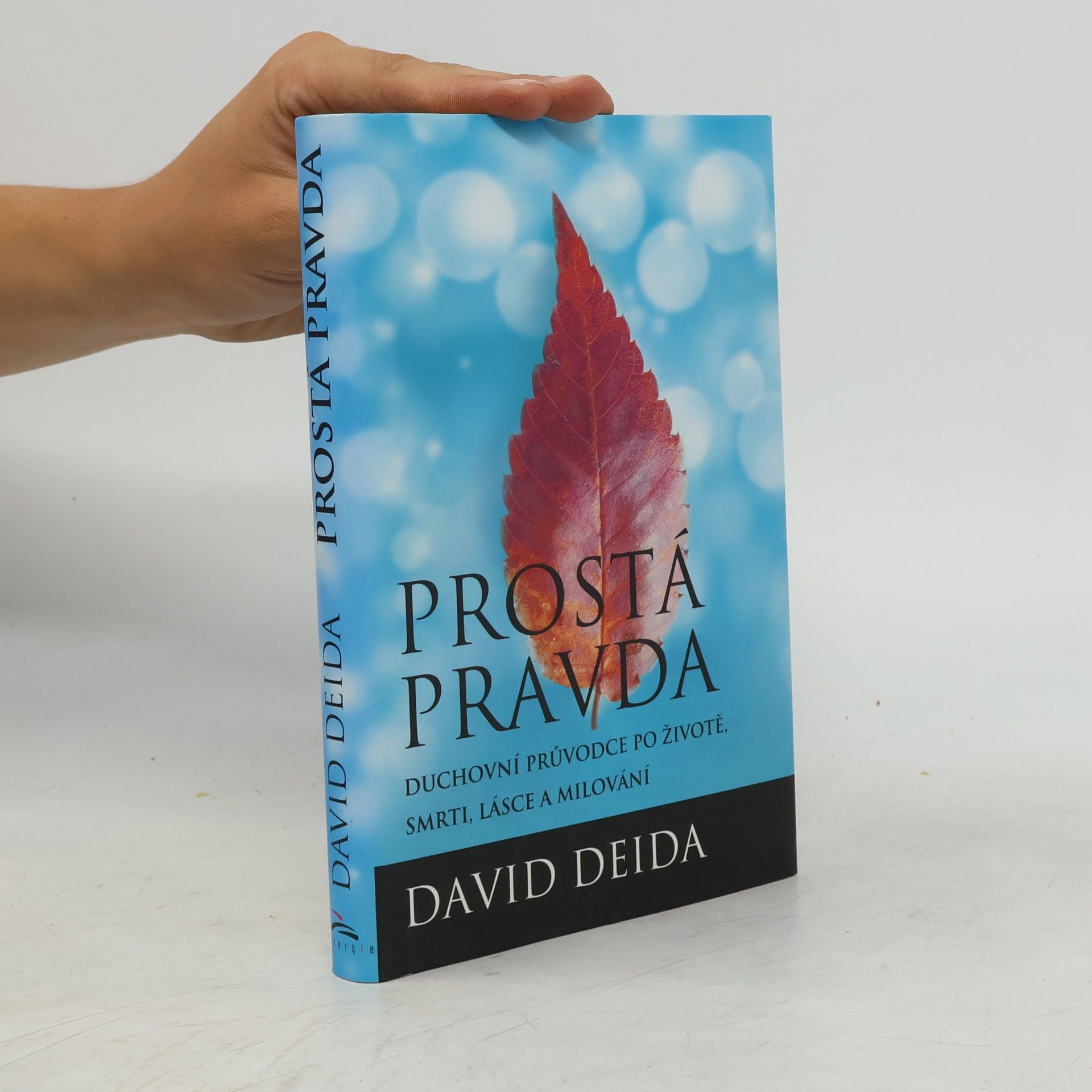 David Deida Prostá pravda