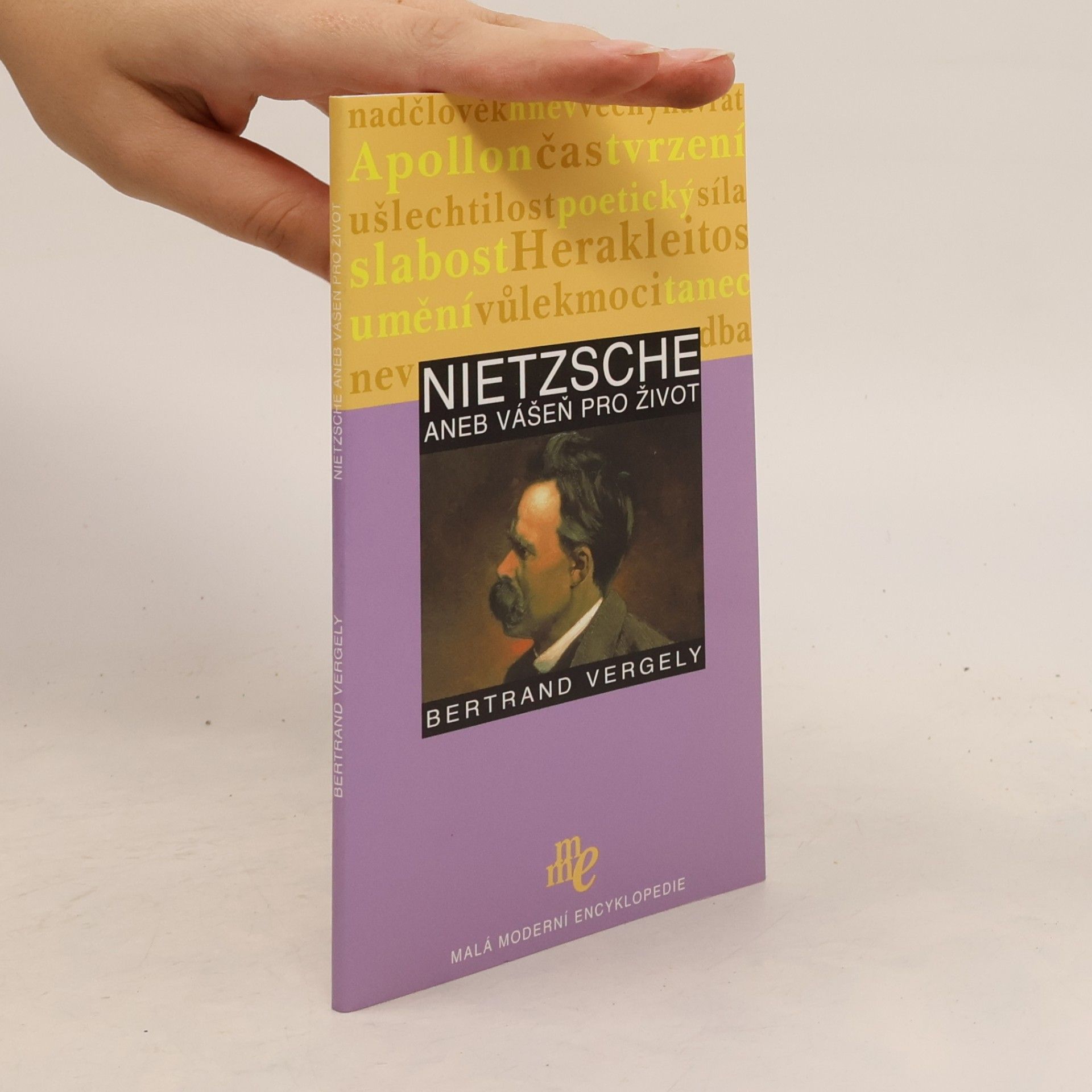Bertrand Vergely Nietzsche aneb Vášeň pro život