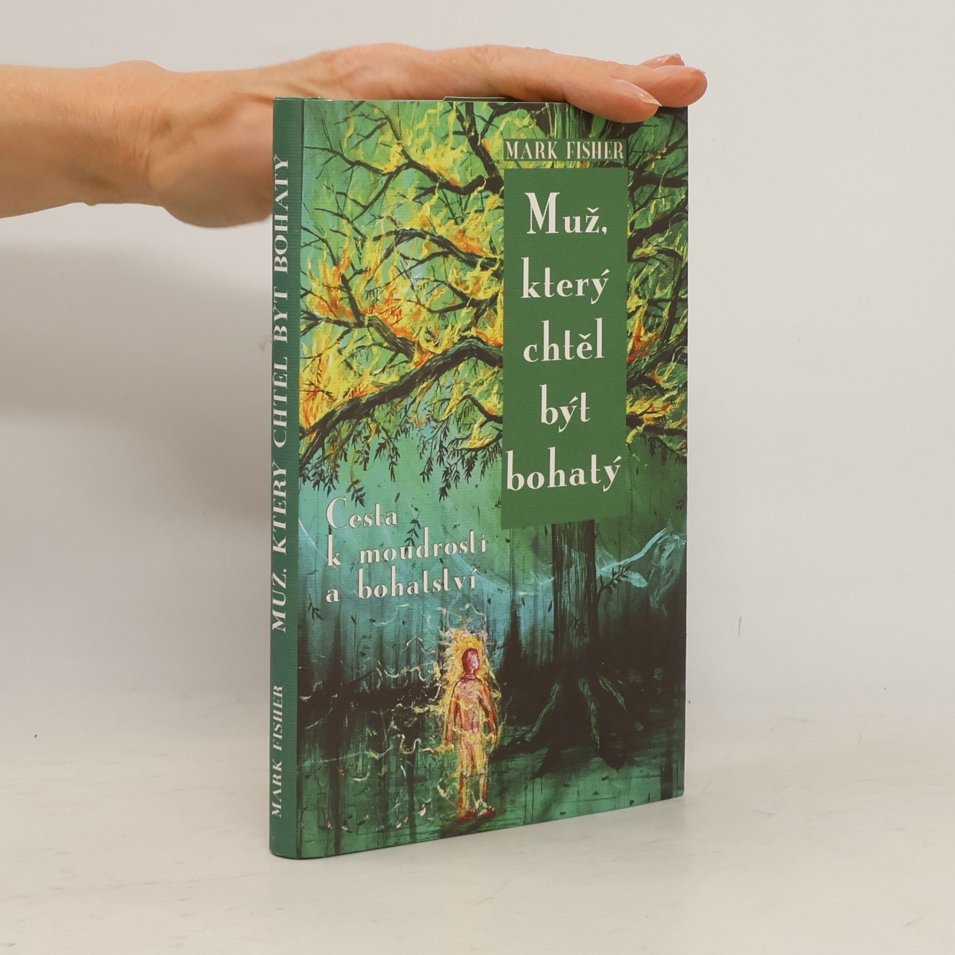 Mark Fisher Muž, který chtěl být bohatý