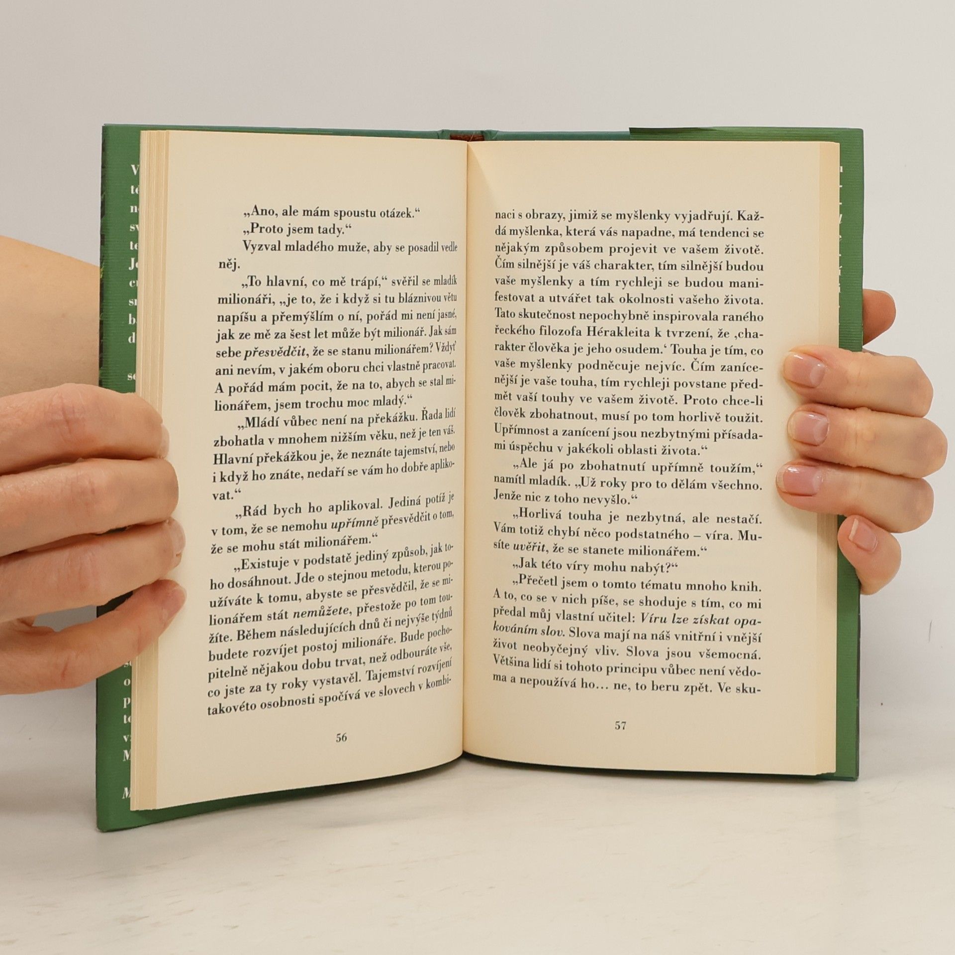 Mark Fisher Muž, který chtěl být bohatý