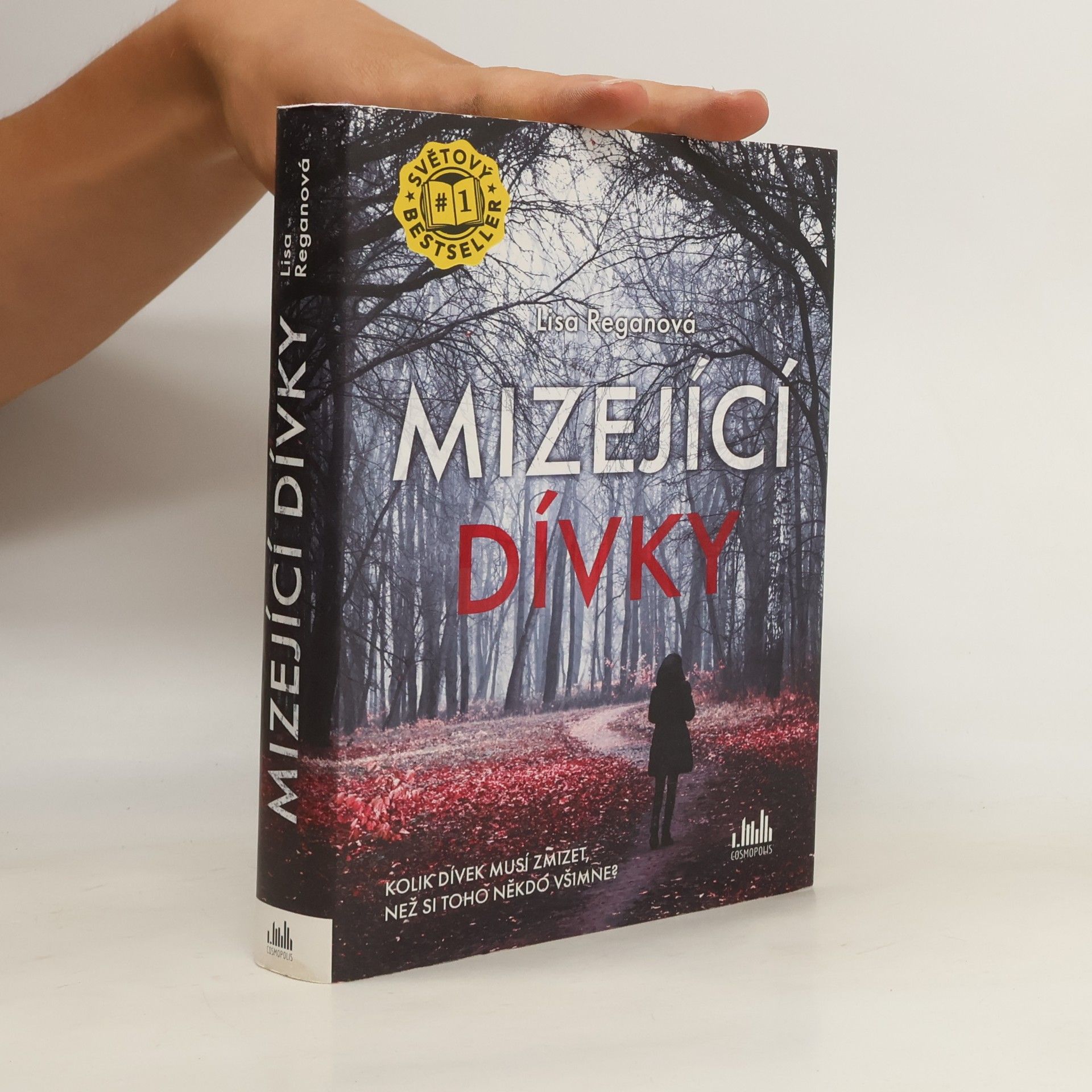Lisa Regan Mizející dívky