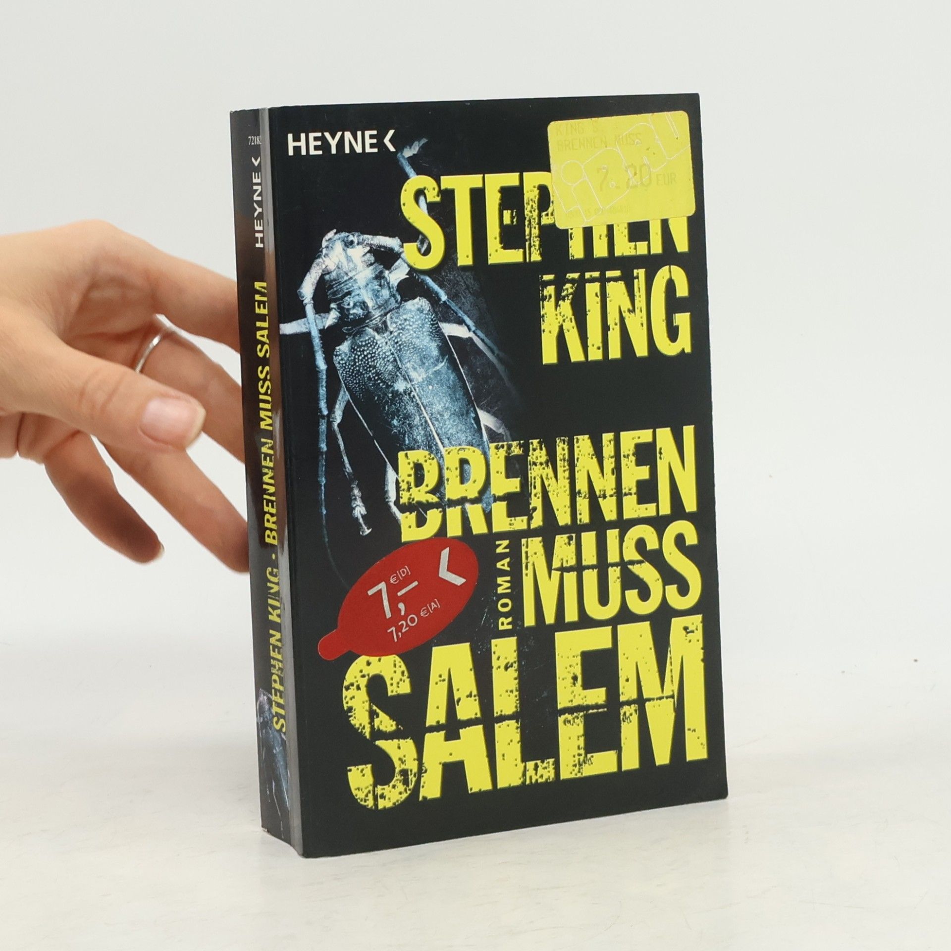Stephen King Brennen muss Salem