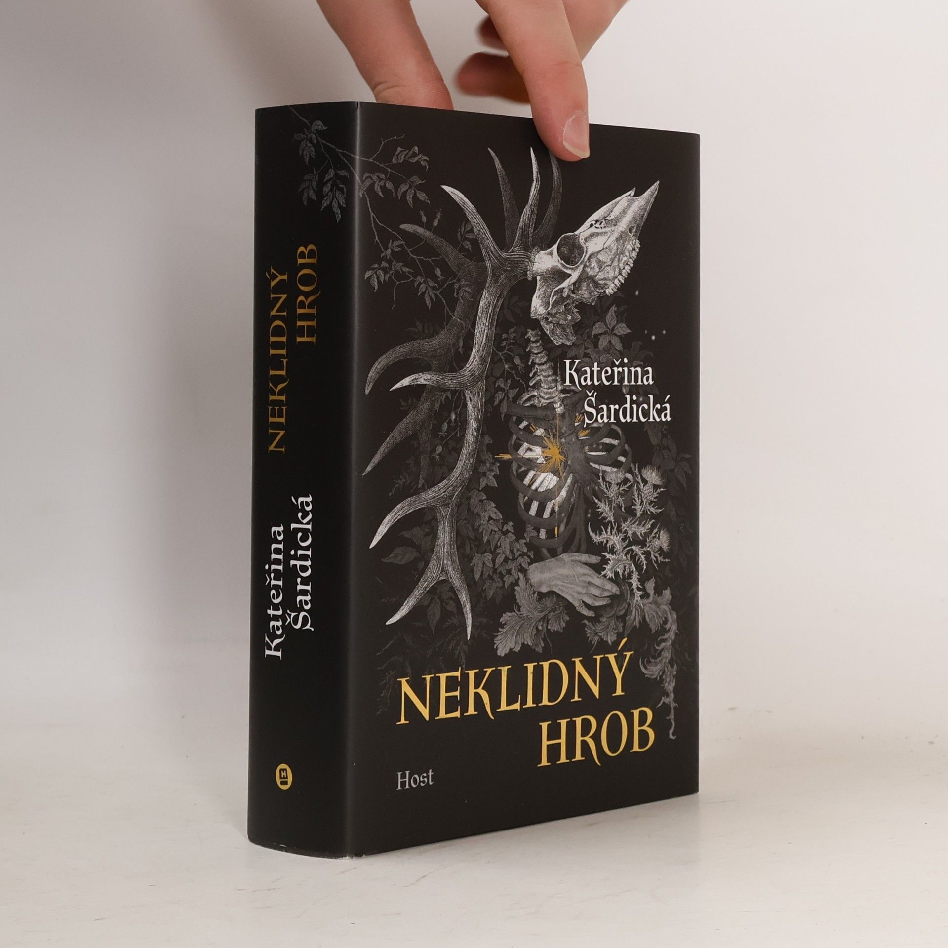 Kateřina Šardická Neklidný hrob