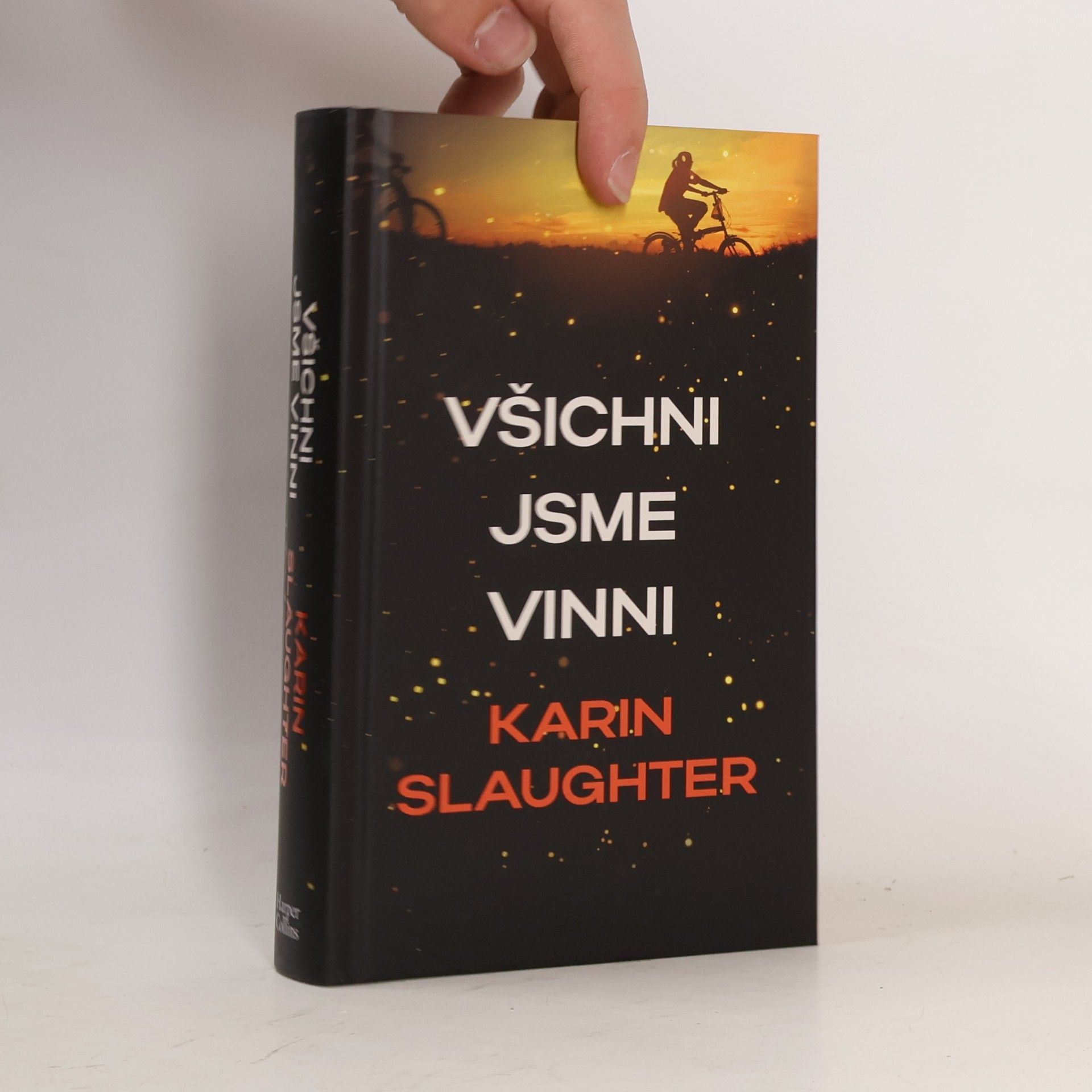 Karin Slaughter Všichni jsme vinni