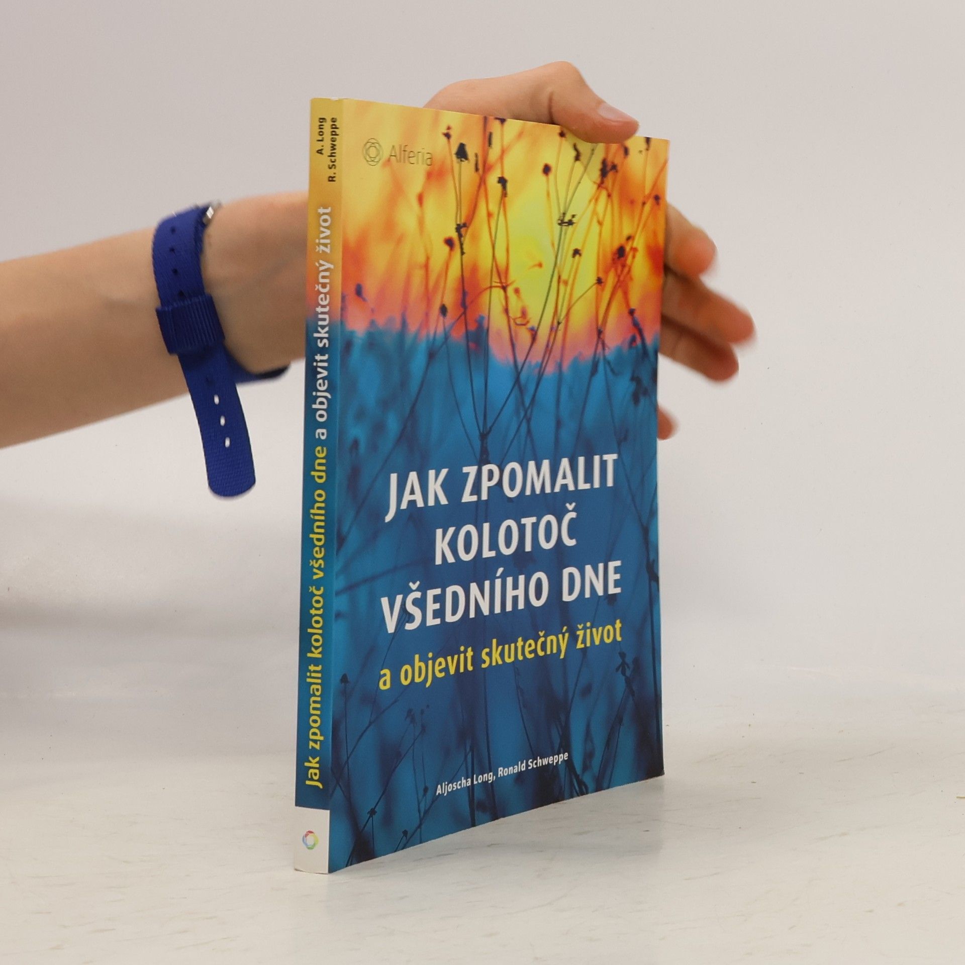 Ronald Schweppe Jak zpomalit kolotoč všedního dne a objevit skutečný život