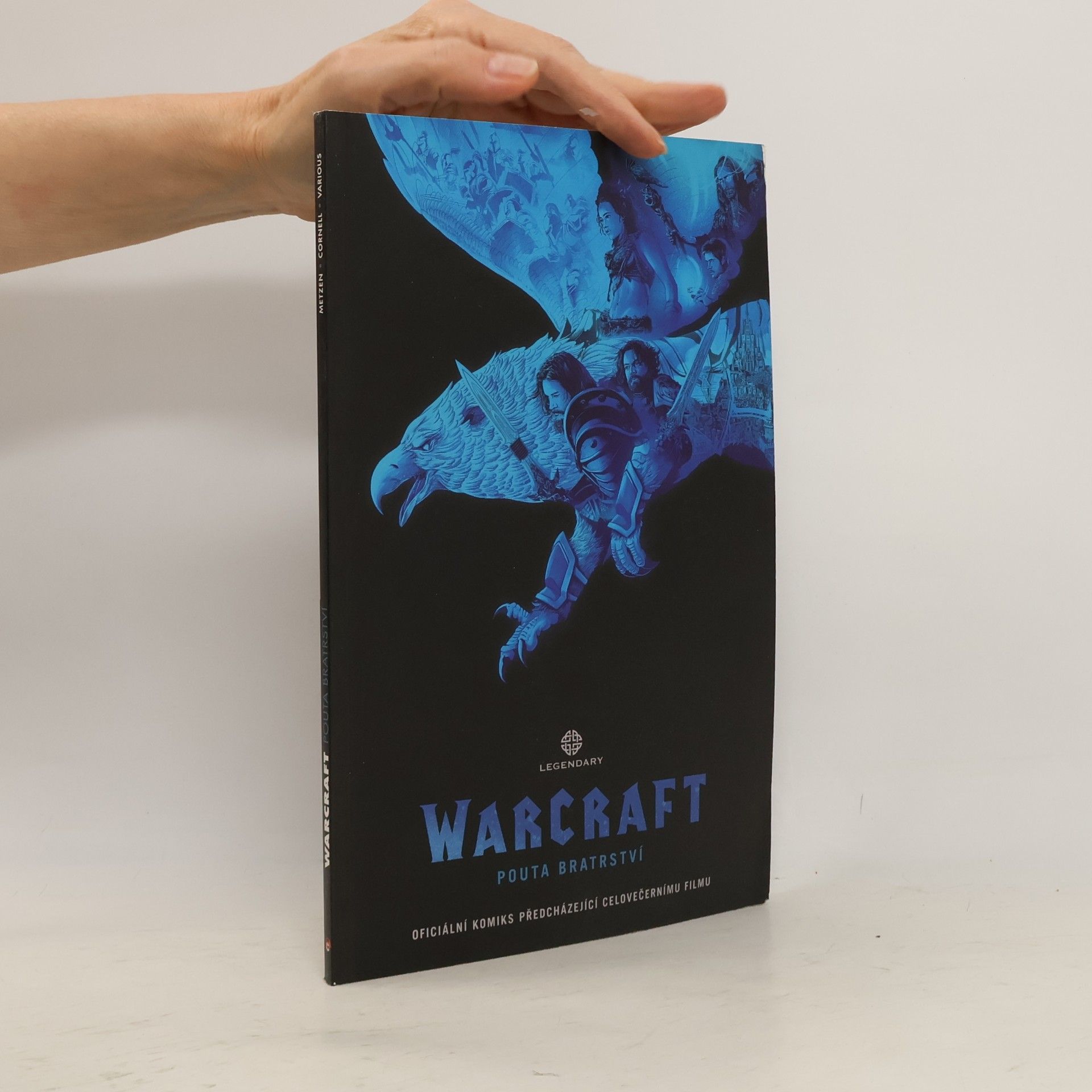 Autores varios Warcraft. Pouta bratrství