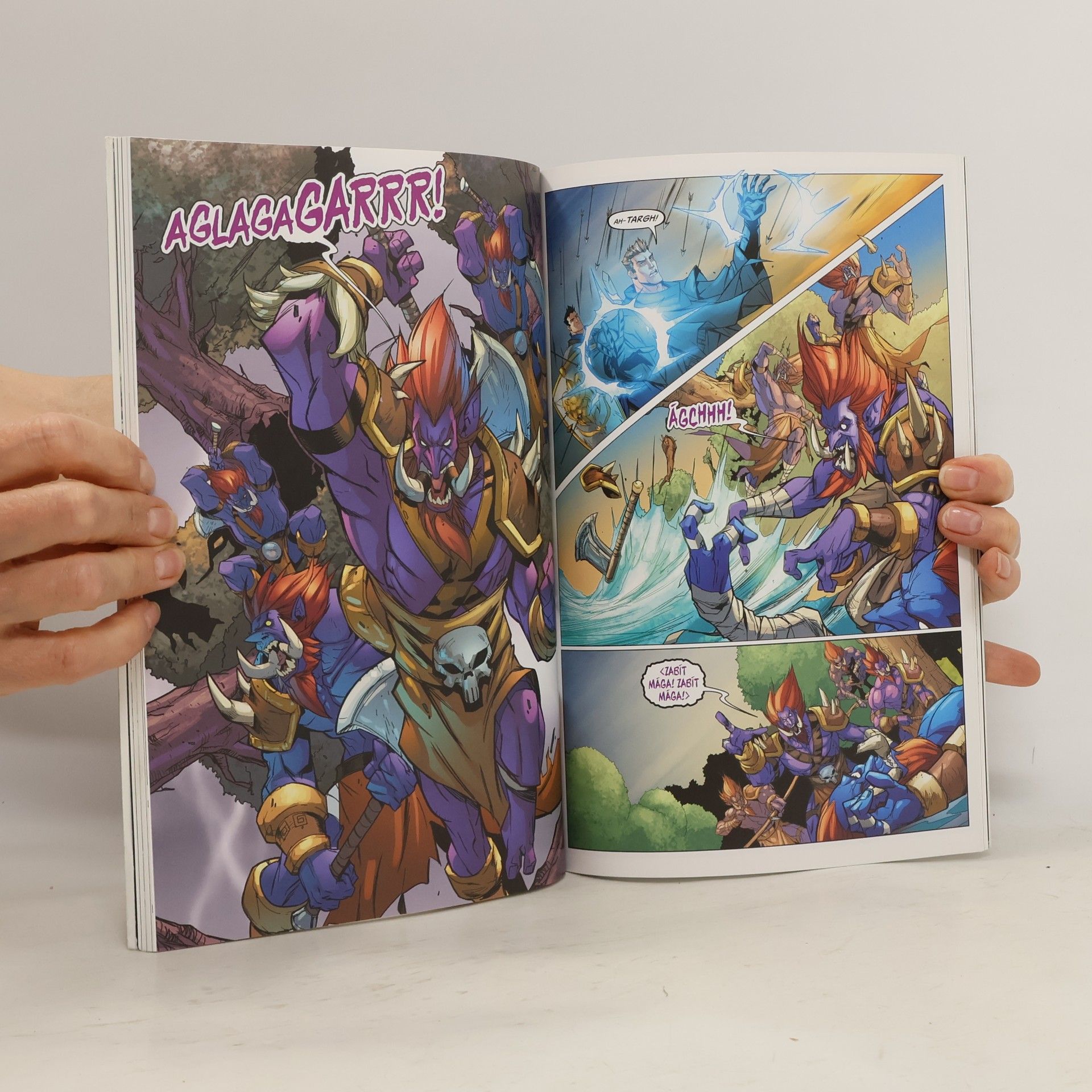 Various authors Warcraft. Pouta bratrství
