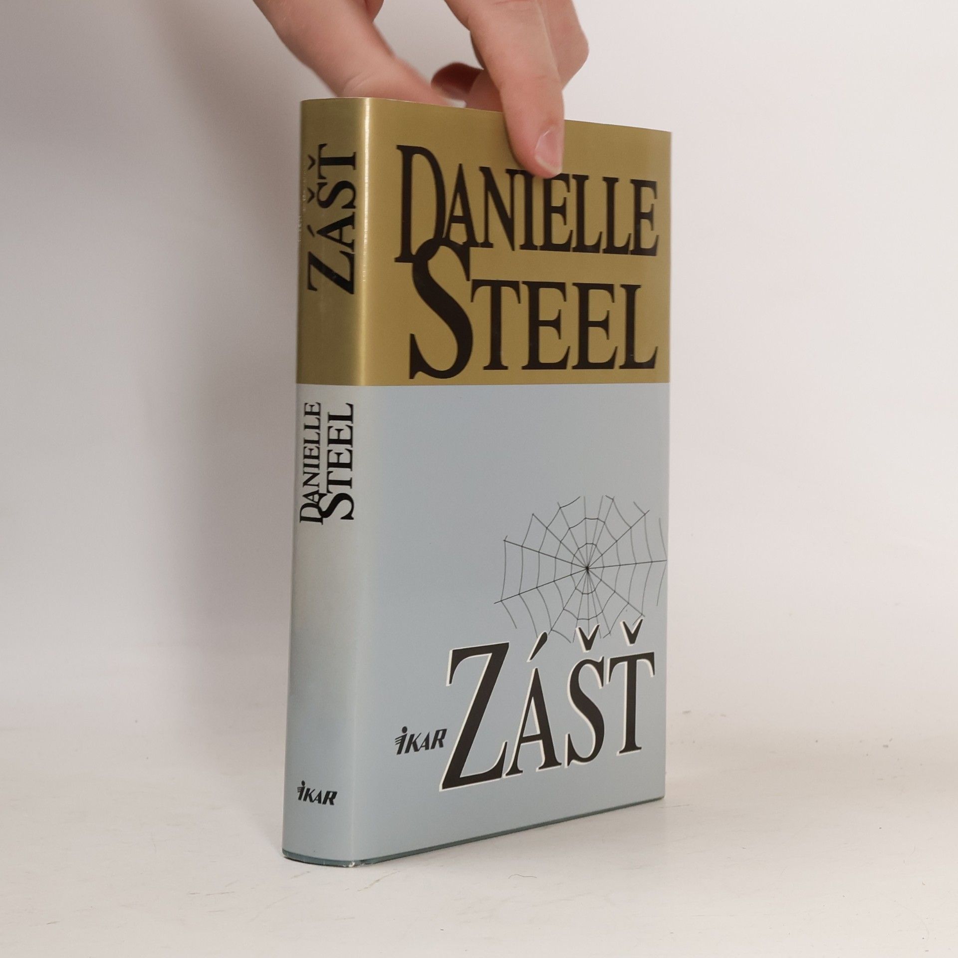 Danielle Steel Zášť
