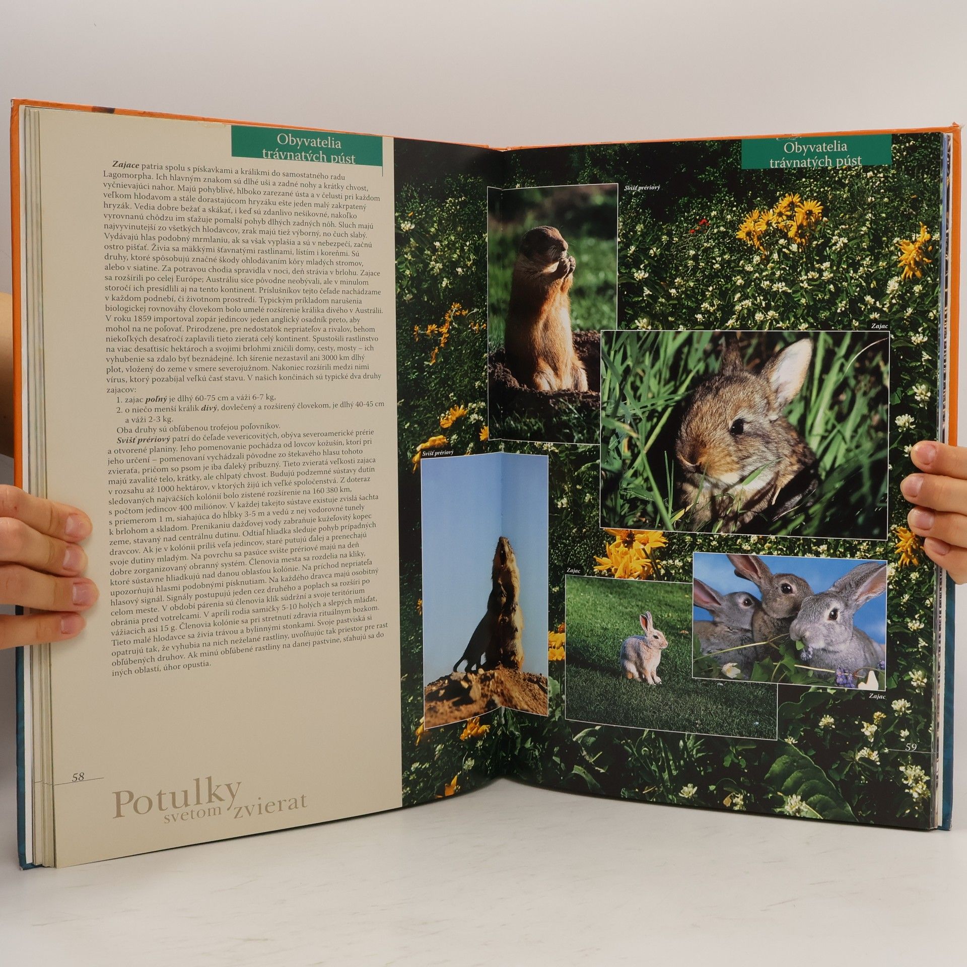 Collectif d'auteurs Potulky svetom zvierat