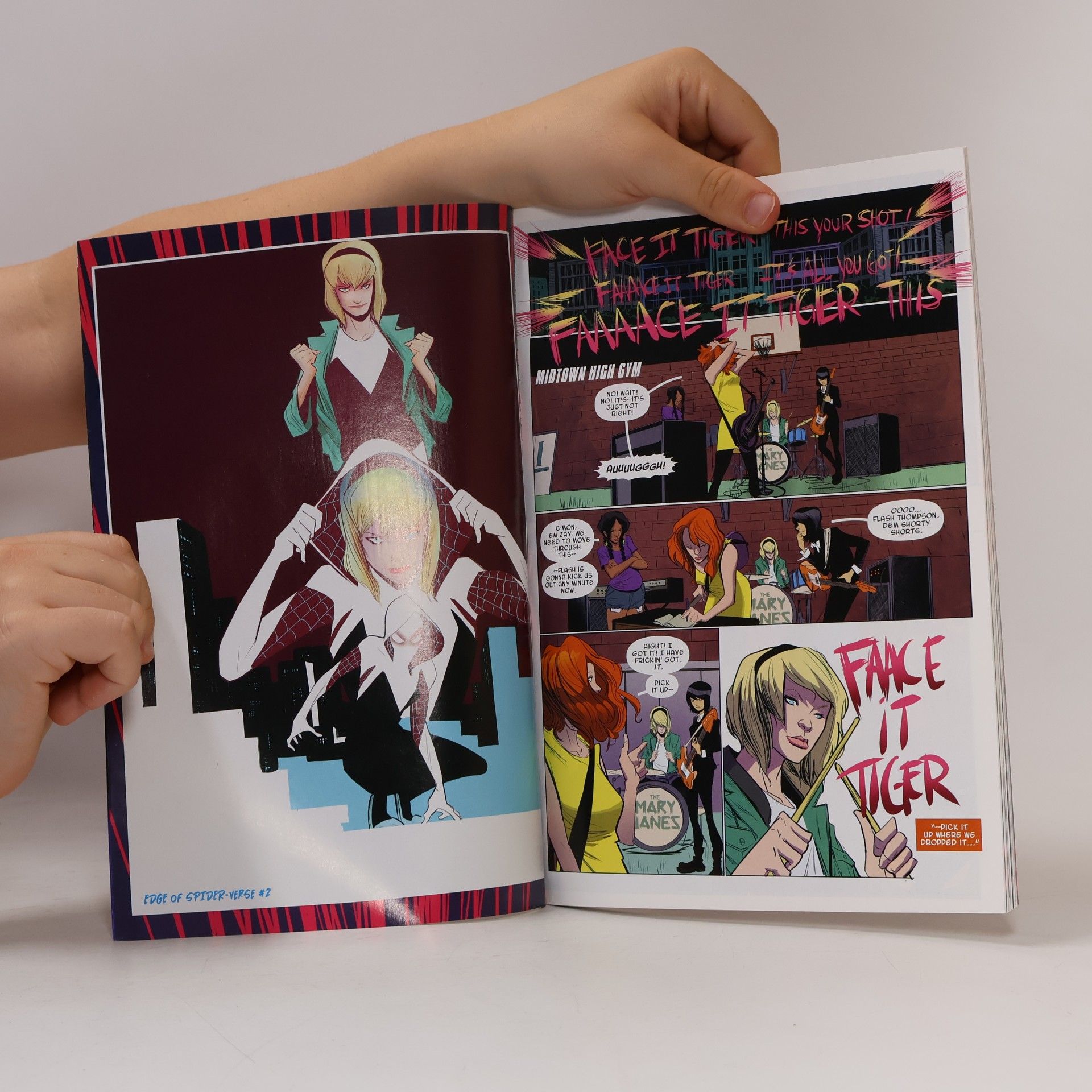 Robbi Rodriguez Spider-Gwen