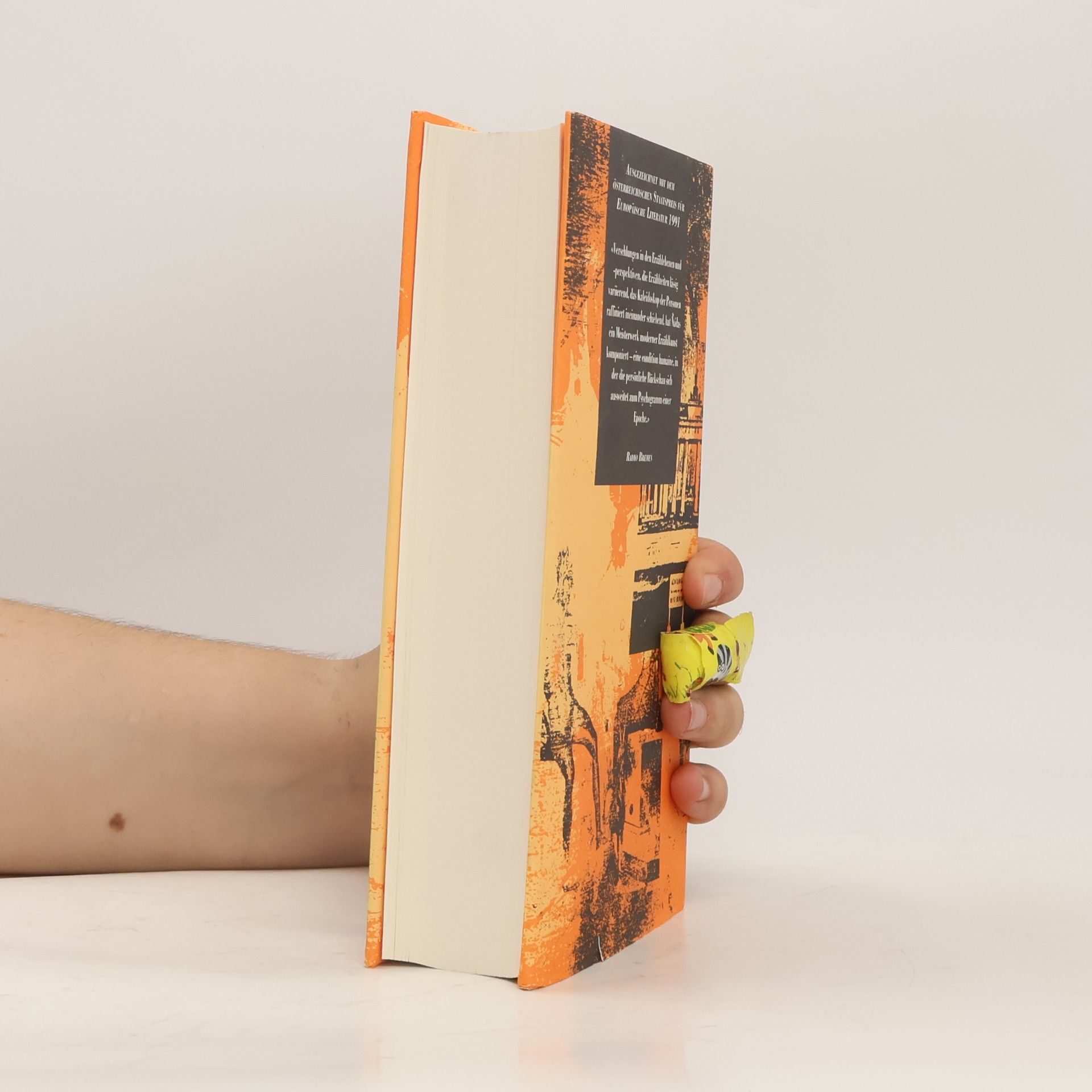Péter Nádas Buch der Erinnerung