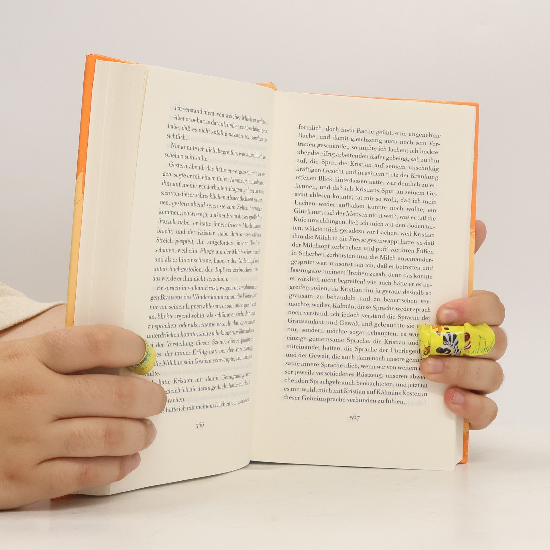 Péter Nádas Buch der Erinnerung