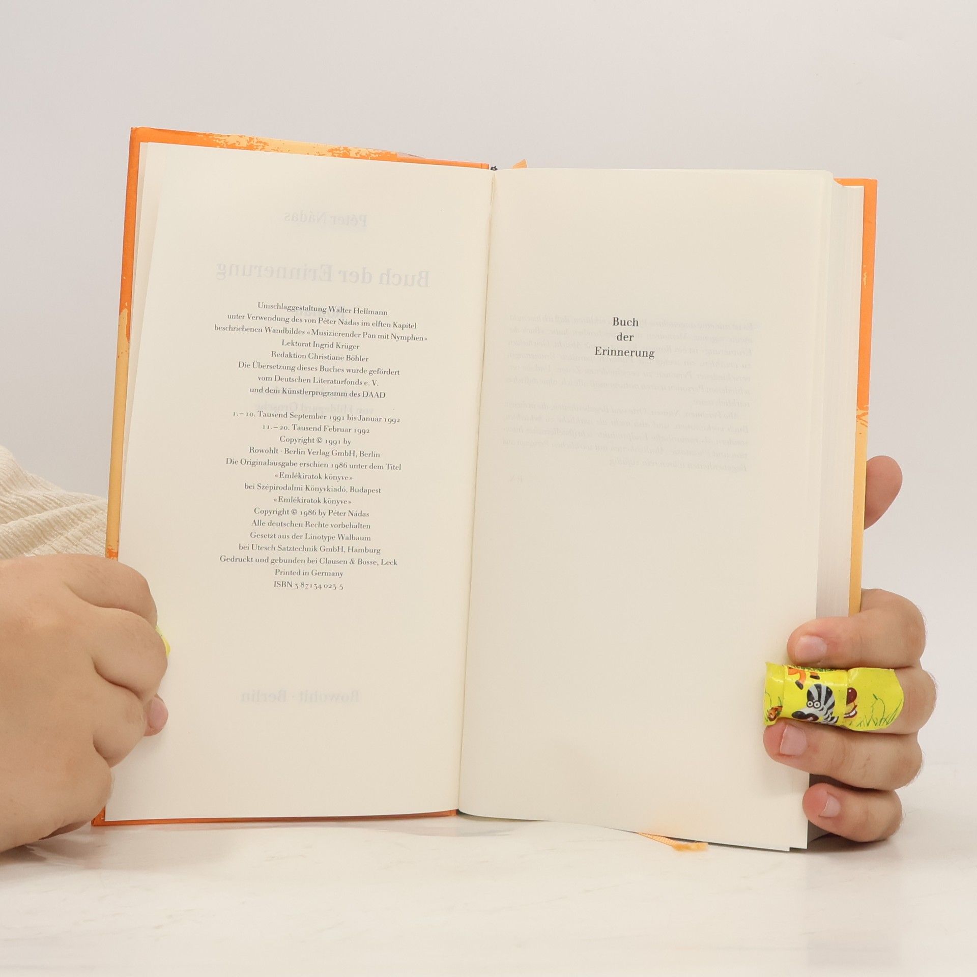 Péter Nádas Buch der Erinnerung