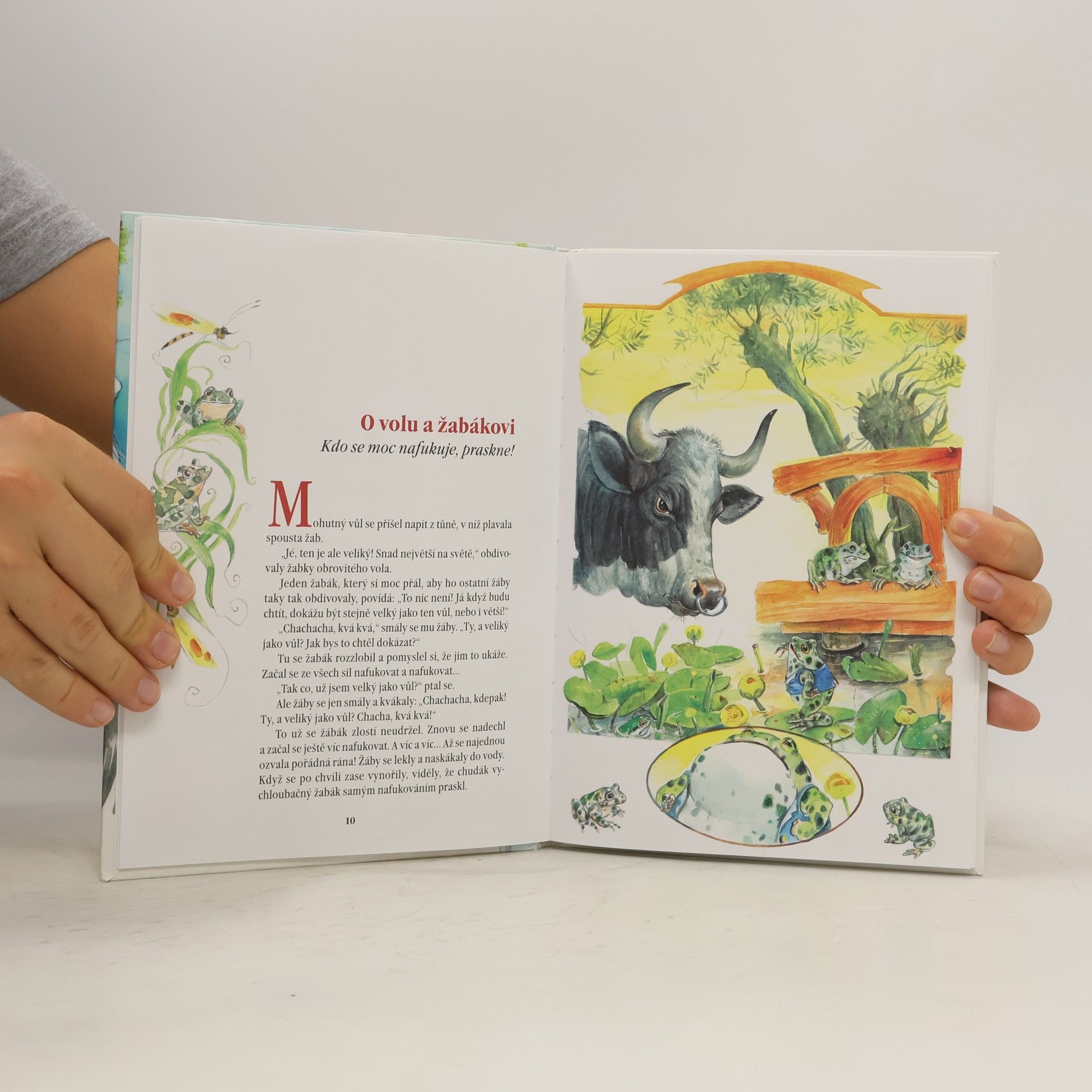 Hana Primusová O lišce a čápu a další Ezopovy bajky