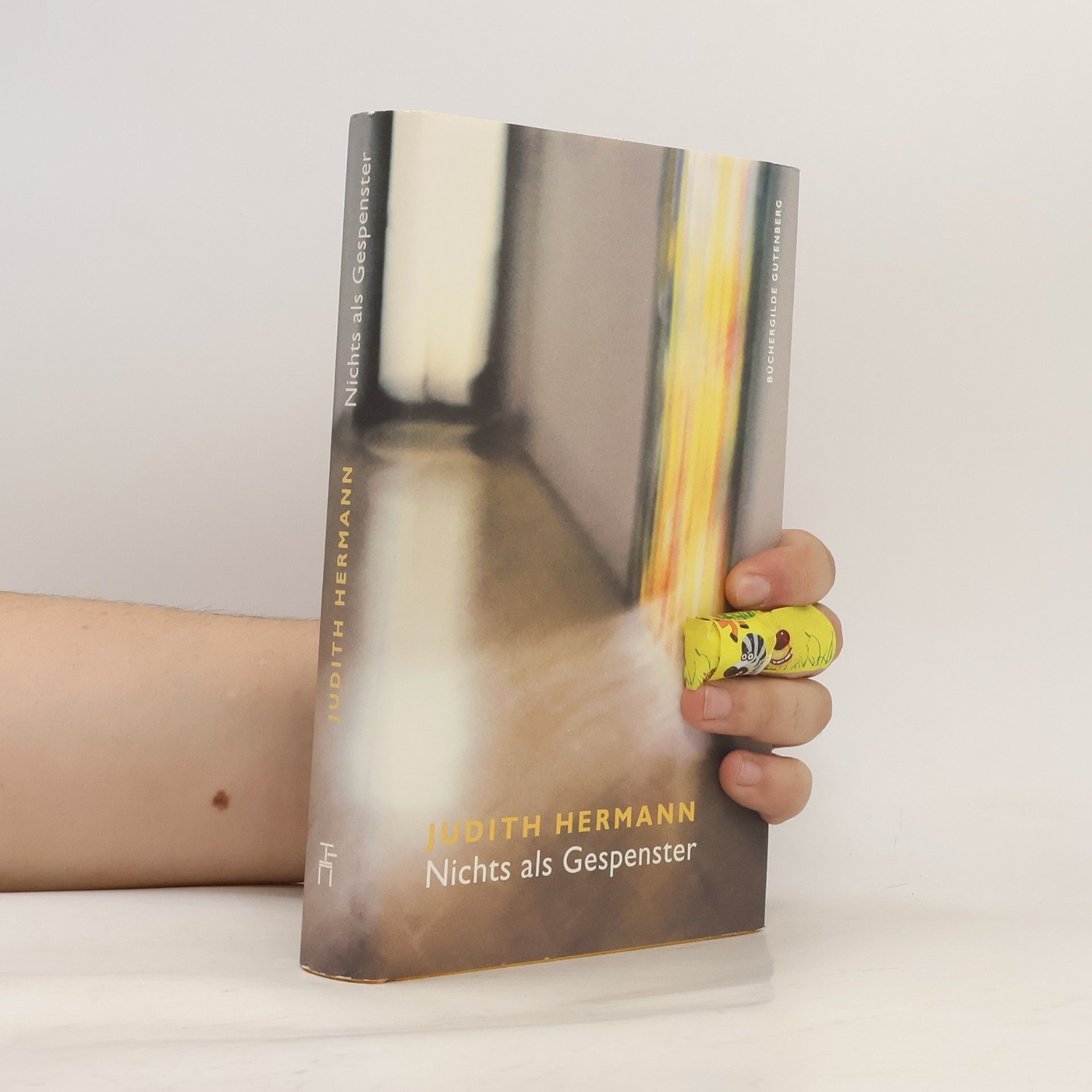 Judith Hermann Nichts als Gespenster
