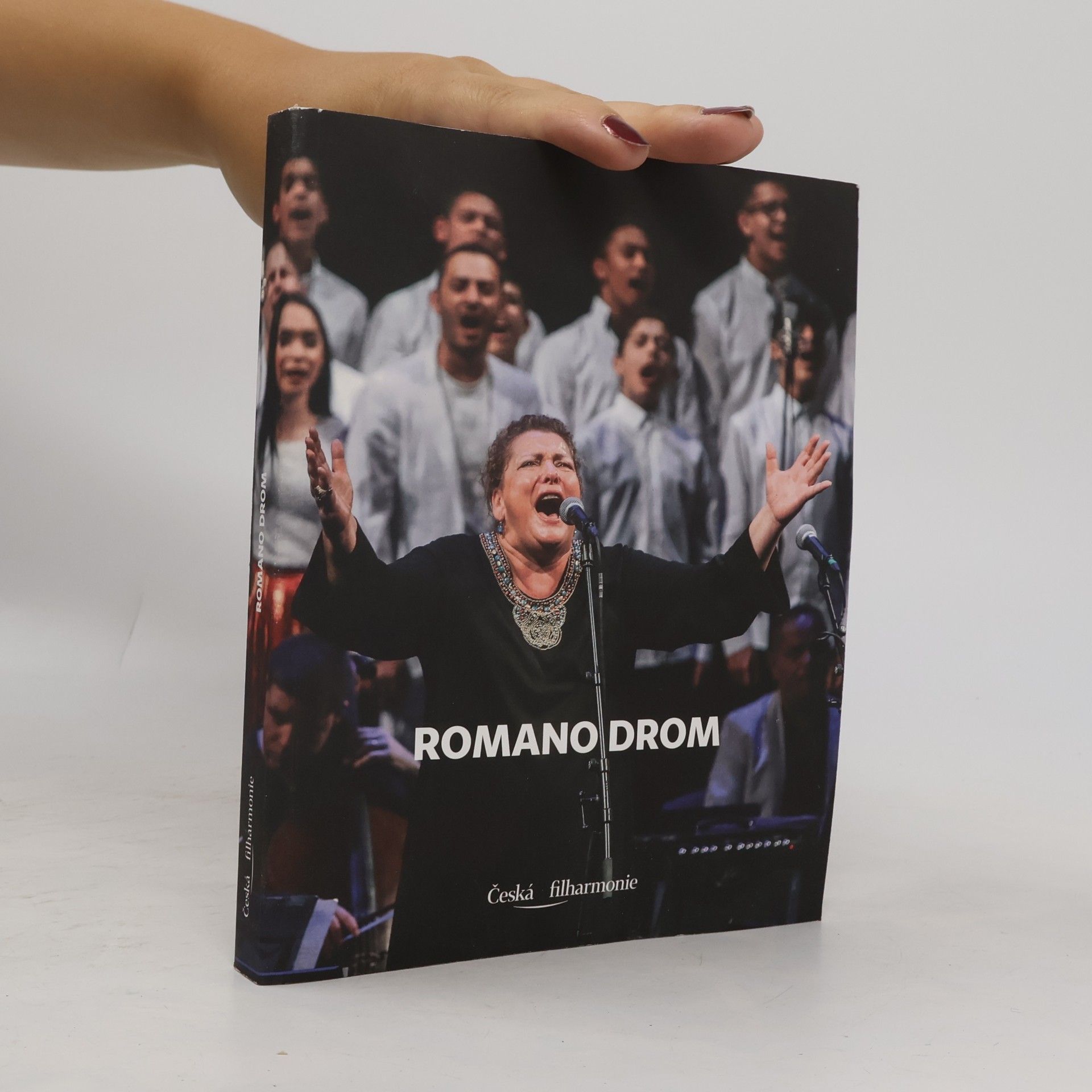 Hana Zelinová Romano Drom