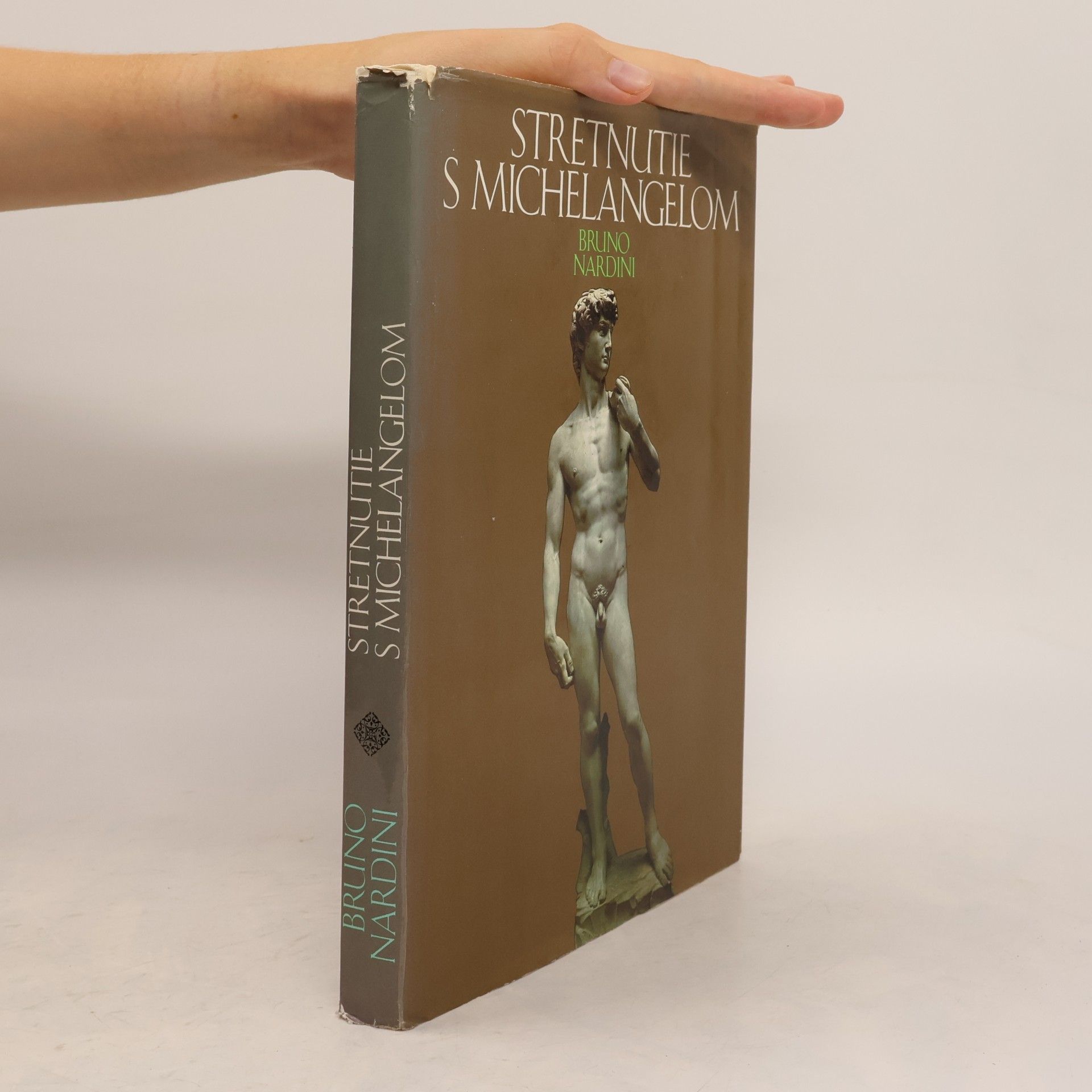 Bruno Nardini Stretnutie s Michelangelom