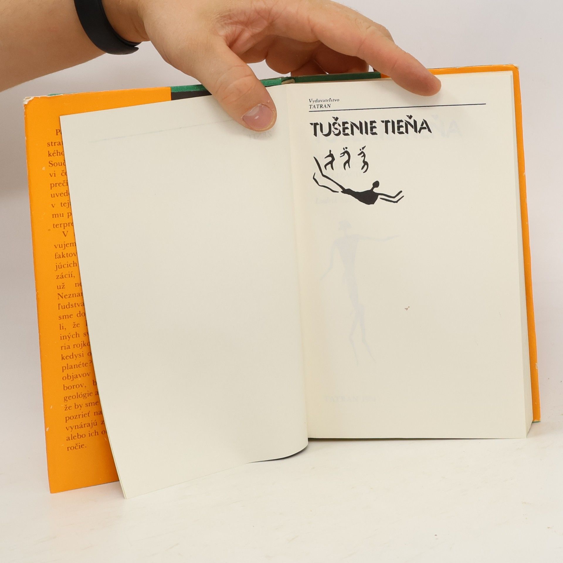 Ludvík Souček Tušenie tieňa