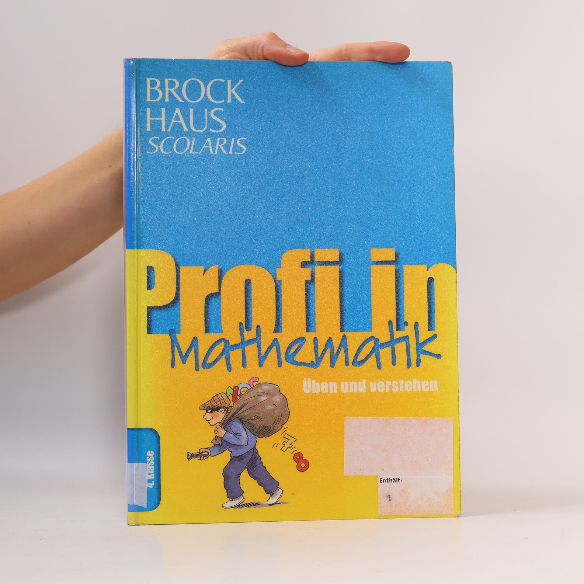 Evelyn Scherber Brockhaus Scolaris - 4. Klasse: Profi in Mathematik